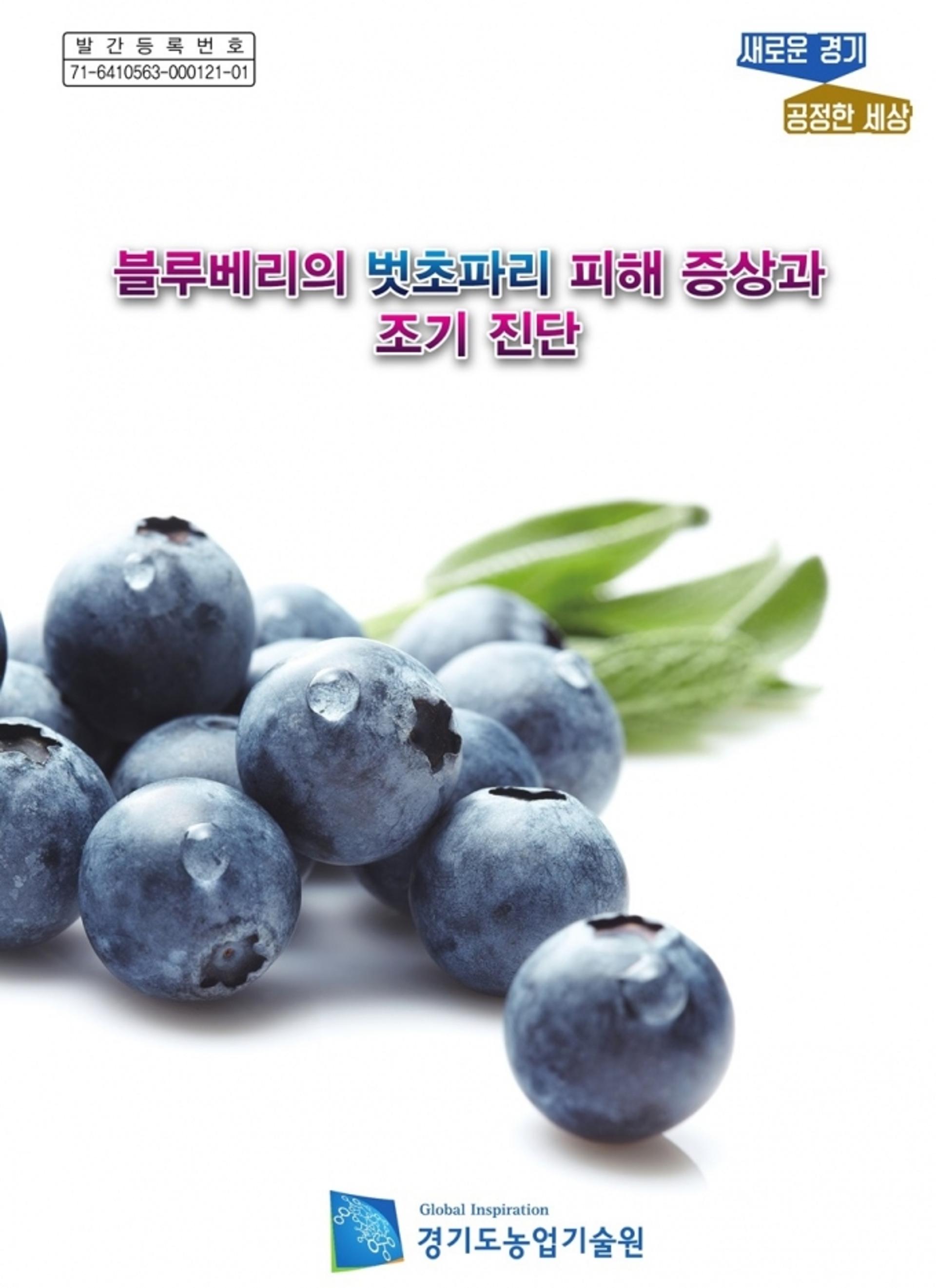 경기도 농기원, '블루베리의 벗초파리 피해증상과 조기진단 매뉴얼' 발간