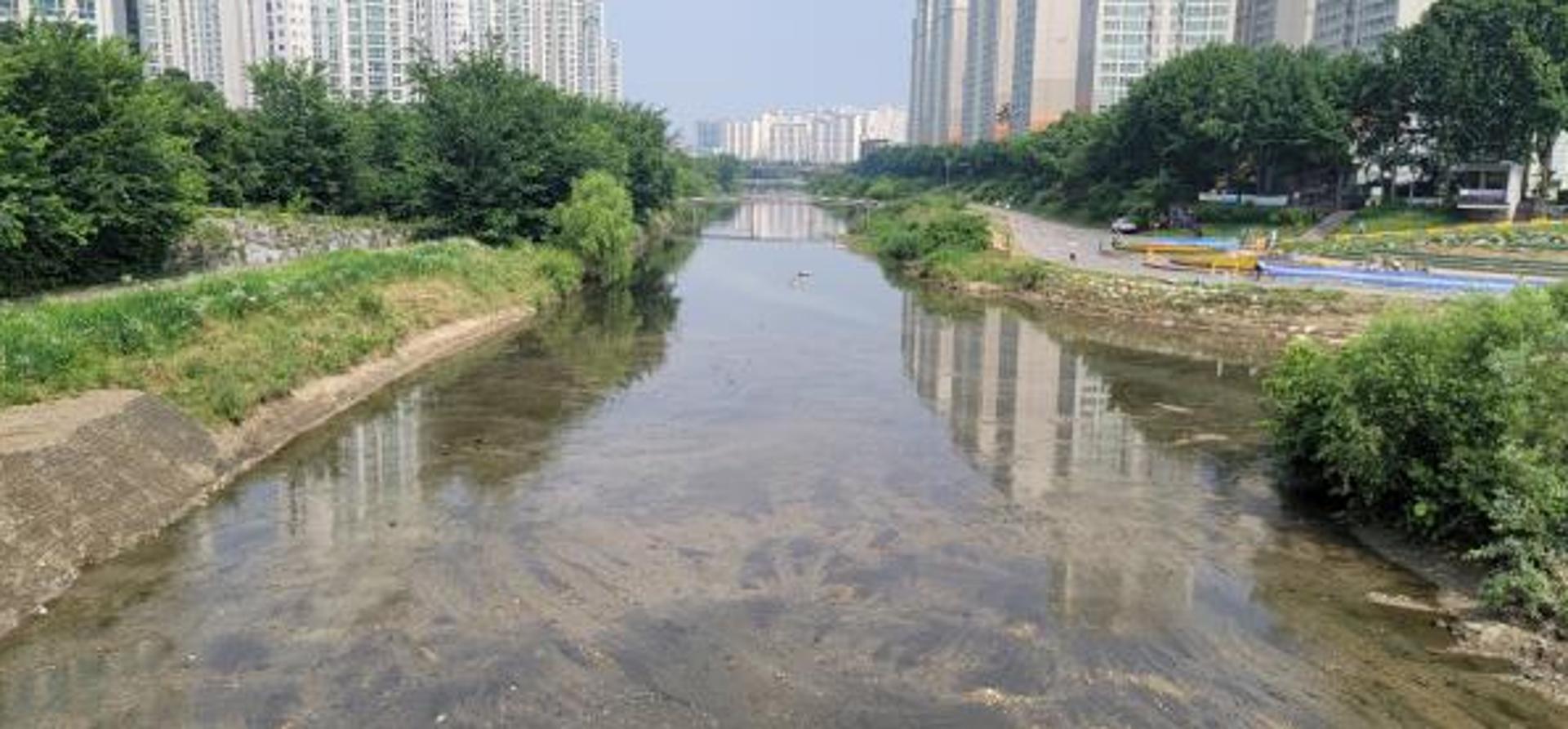 "이젠 비와도 걱정없어요"… 안양시, 재해대비 하천준설·수목정비 마쳐