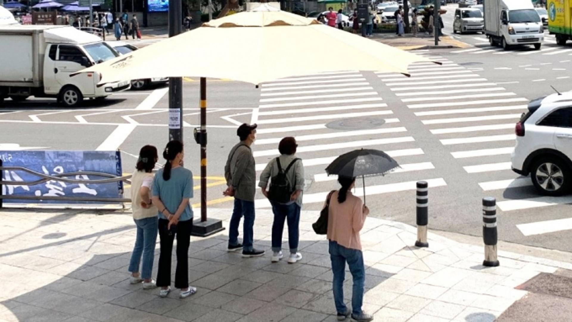 광명시, 폭염대응 종합대책 가동…1246명 재난도우미 운영 등 총력