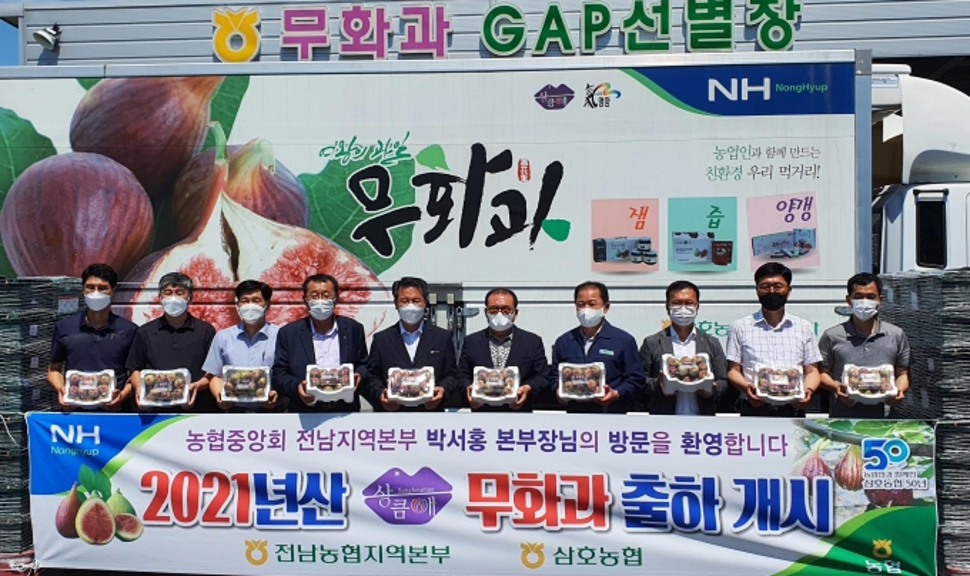 전남농협, 도 과실브랜드 '상큼애' 무화과 본격 출하