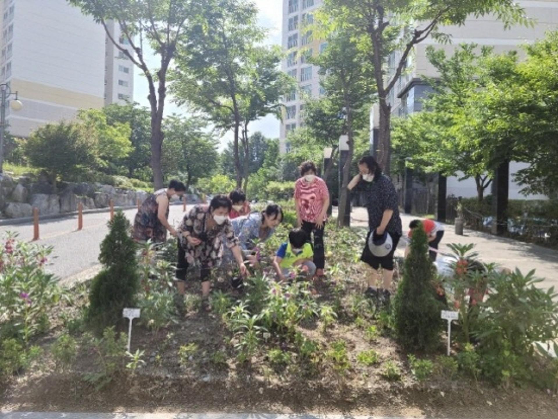 광주 수완 휴먼시아 6단지, 지구 살리기 위한 작은 실천 '힐링정원' 조성