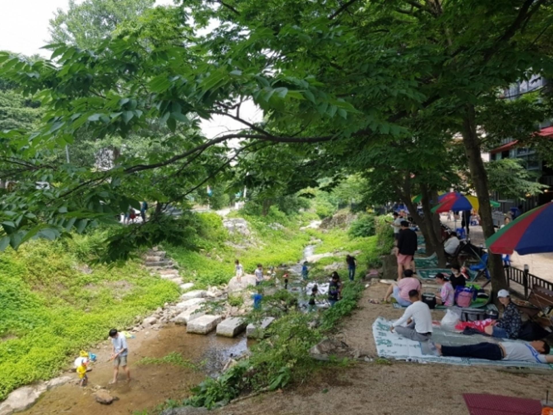 청정계곡 불법행위 근절 ‘특별 점검반’ 가동…주말 맞아 행정2부지사 현장 행보