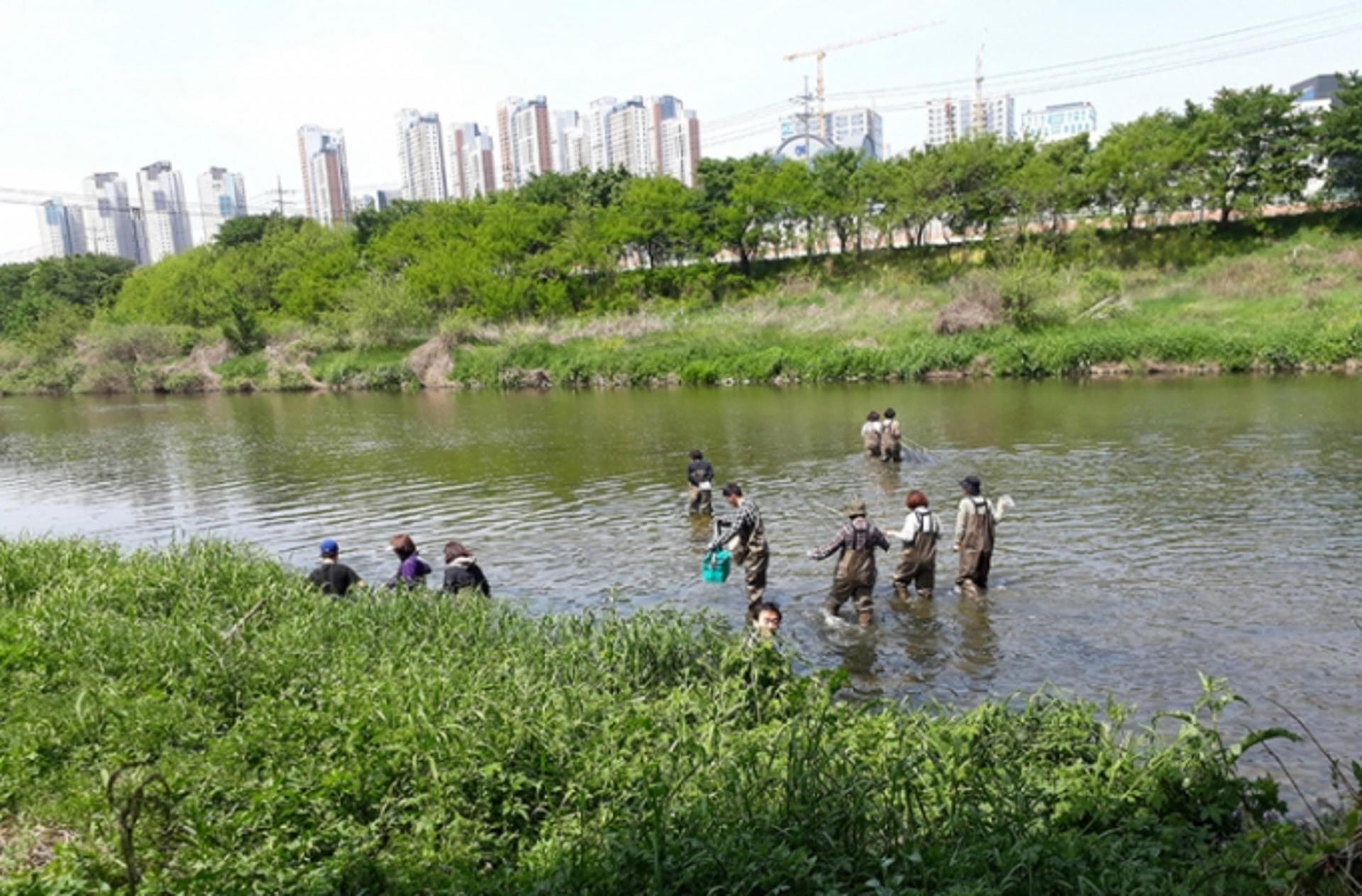 안양시, 생태환경교육 산실 '제9기 안양천환경대학' 26일 개설