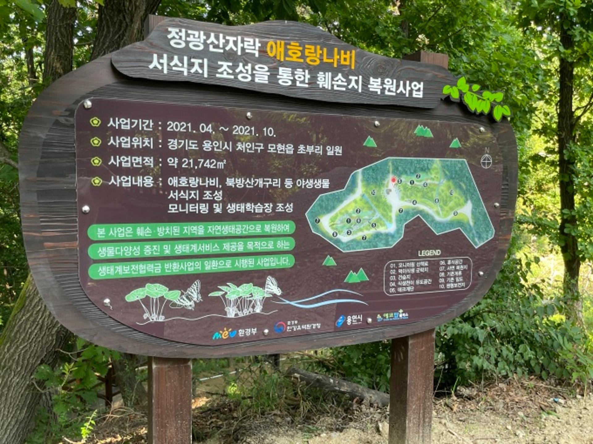 용인시, '애호랑나비·북방산개구리' 생태계 복원했다…정광산에 서식지 조성