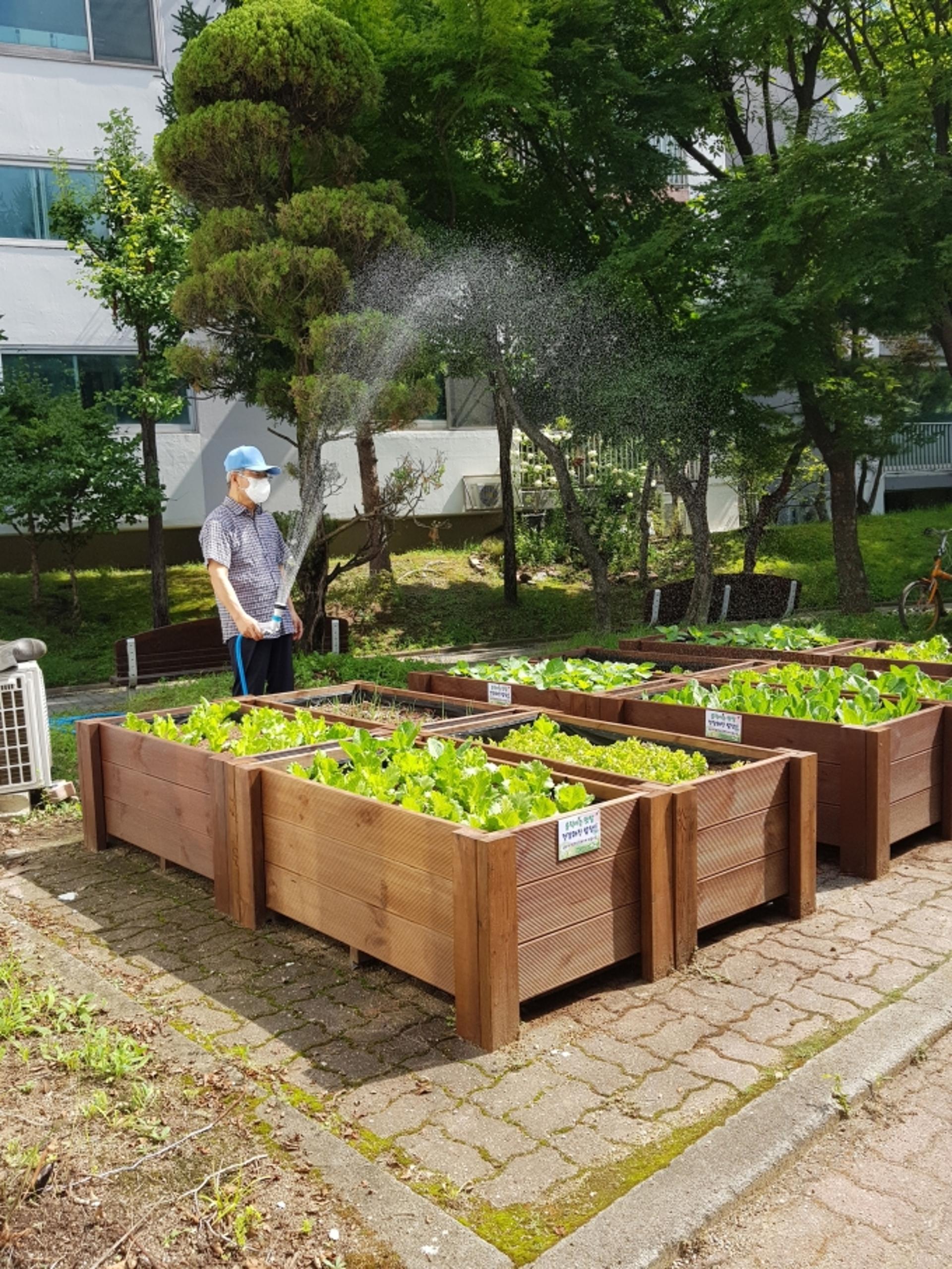 성남시, 분당동 발전소 주변지역에 '움직이는 텃밭, 건강한 밥상 사업' 시작