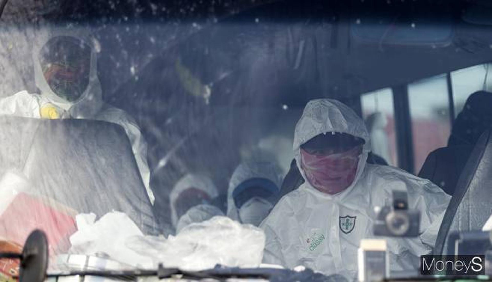고성 양돈농가 '아프리카돼지열병' 확진… 48시간 일시이동중지