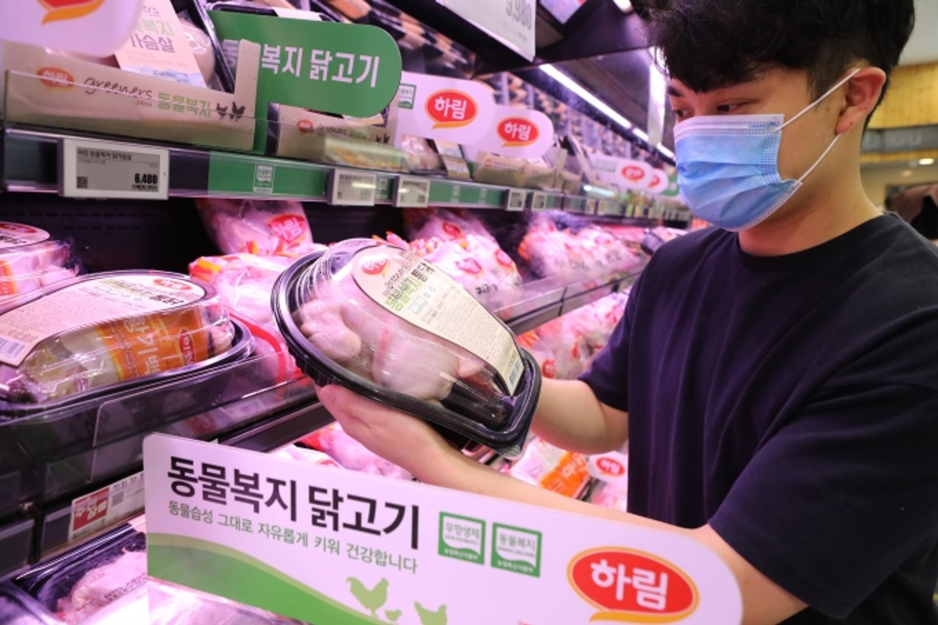 광주 롯데마트 4개점, 말복 보양식 '동물복지인증 닭고기' 인기