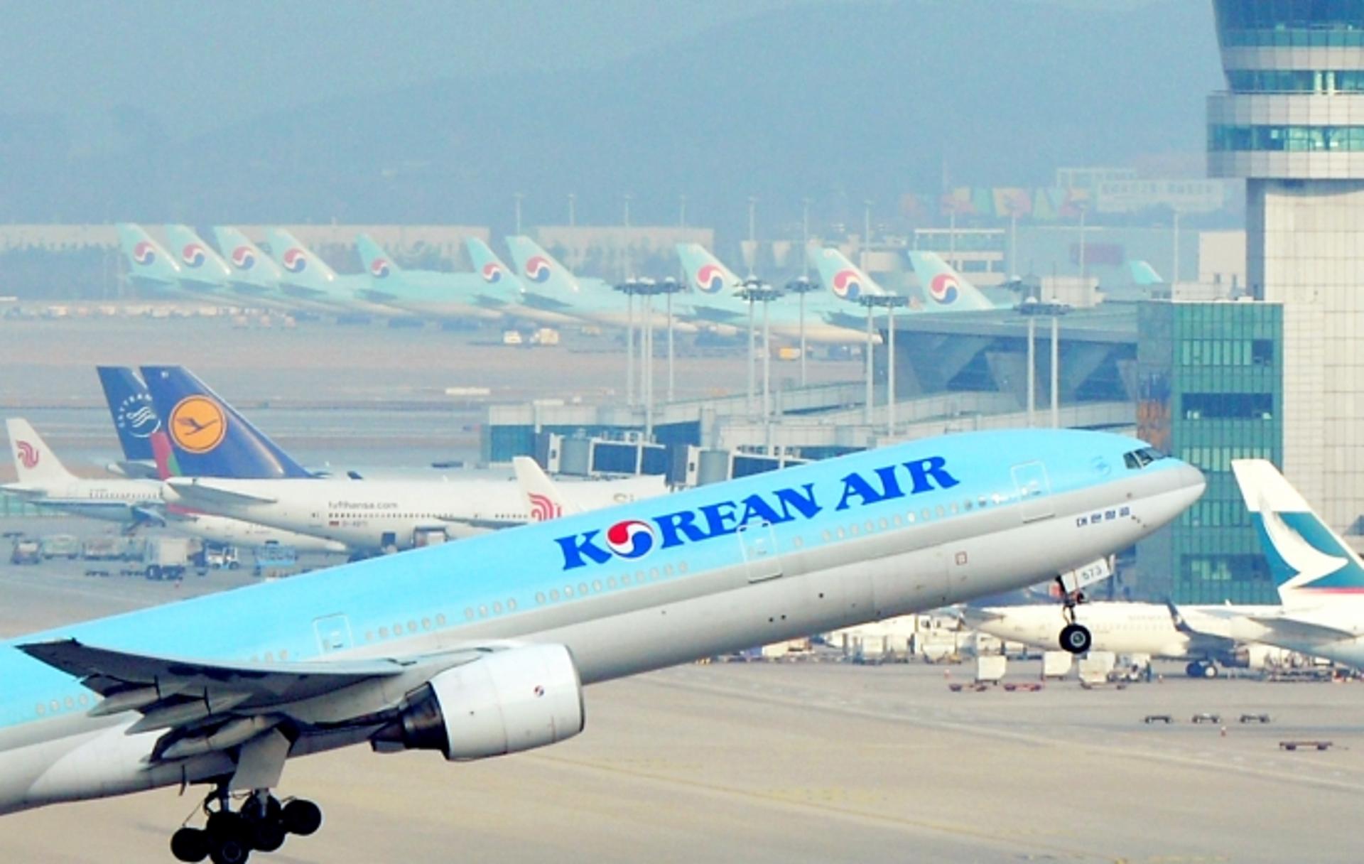 대한항공, 코로나 여객 수송 급감 위기 ‘화물’로 뚫었다(종합)