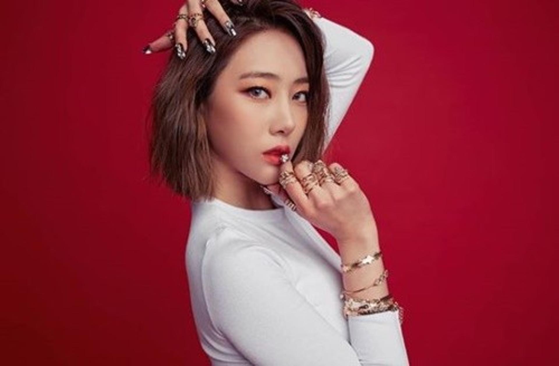 '블랙스완' 출신 혜미, 그룹 활동 중 결혼생활 중이었다?