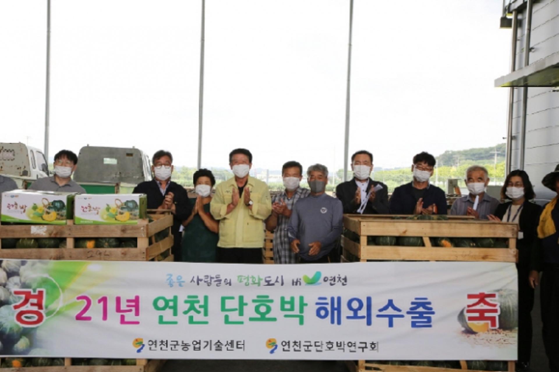 연천지역 단호박, 해외 소비자 입맛 사로잡다…200t 해외수출