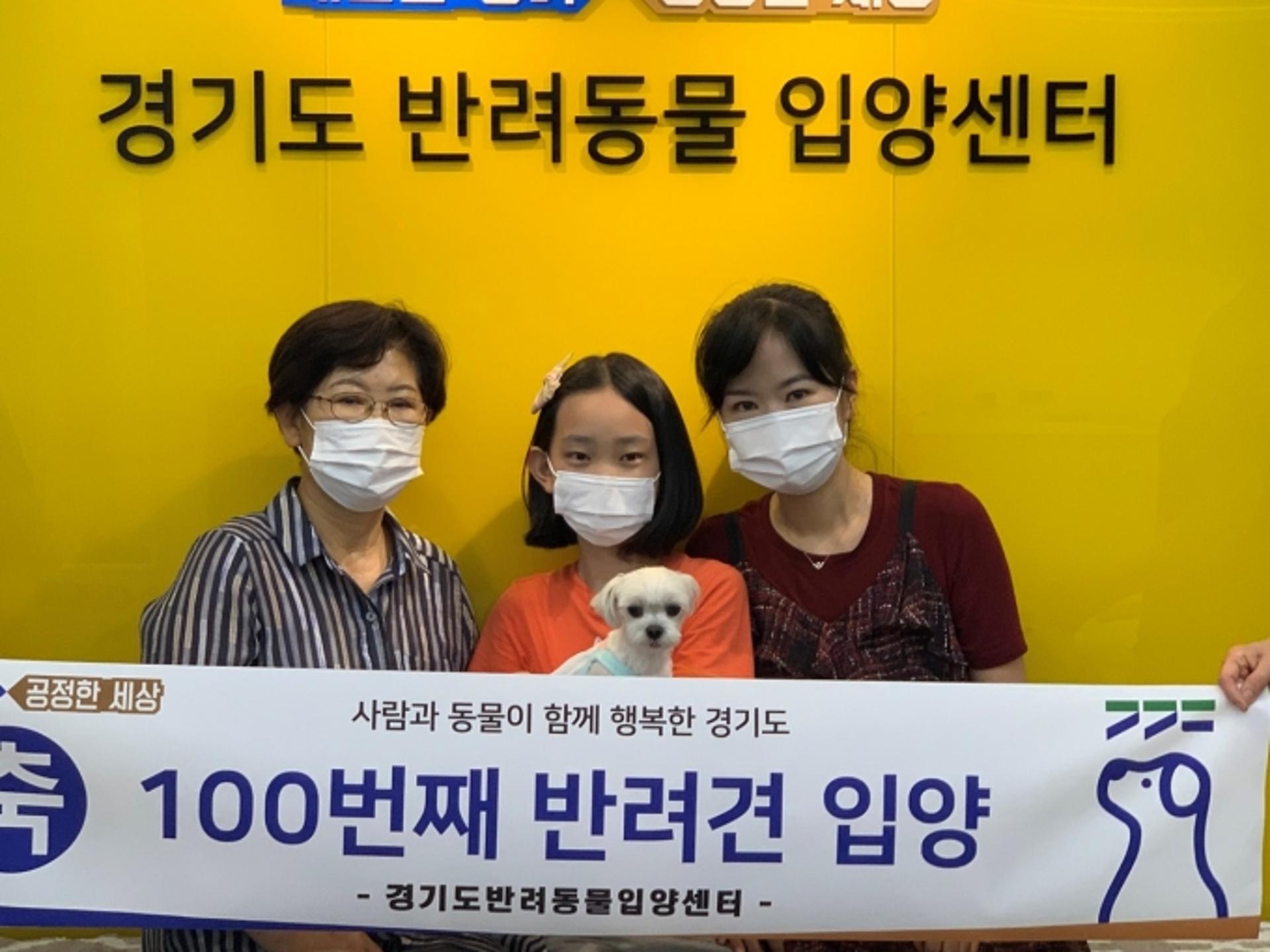 경기도반려동물입양센터 100번째 입양견 탄생…'유기견 한솔이', 새 가족 만난 사연