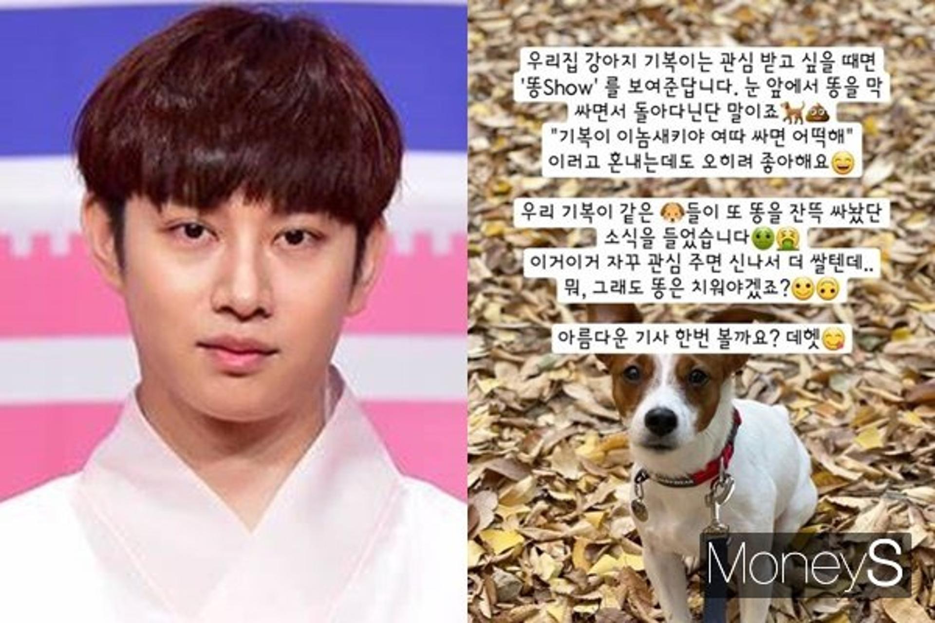 "X 싸놨네"… 김희철, 유기견 발언 논란에 이런 말 남겼다