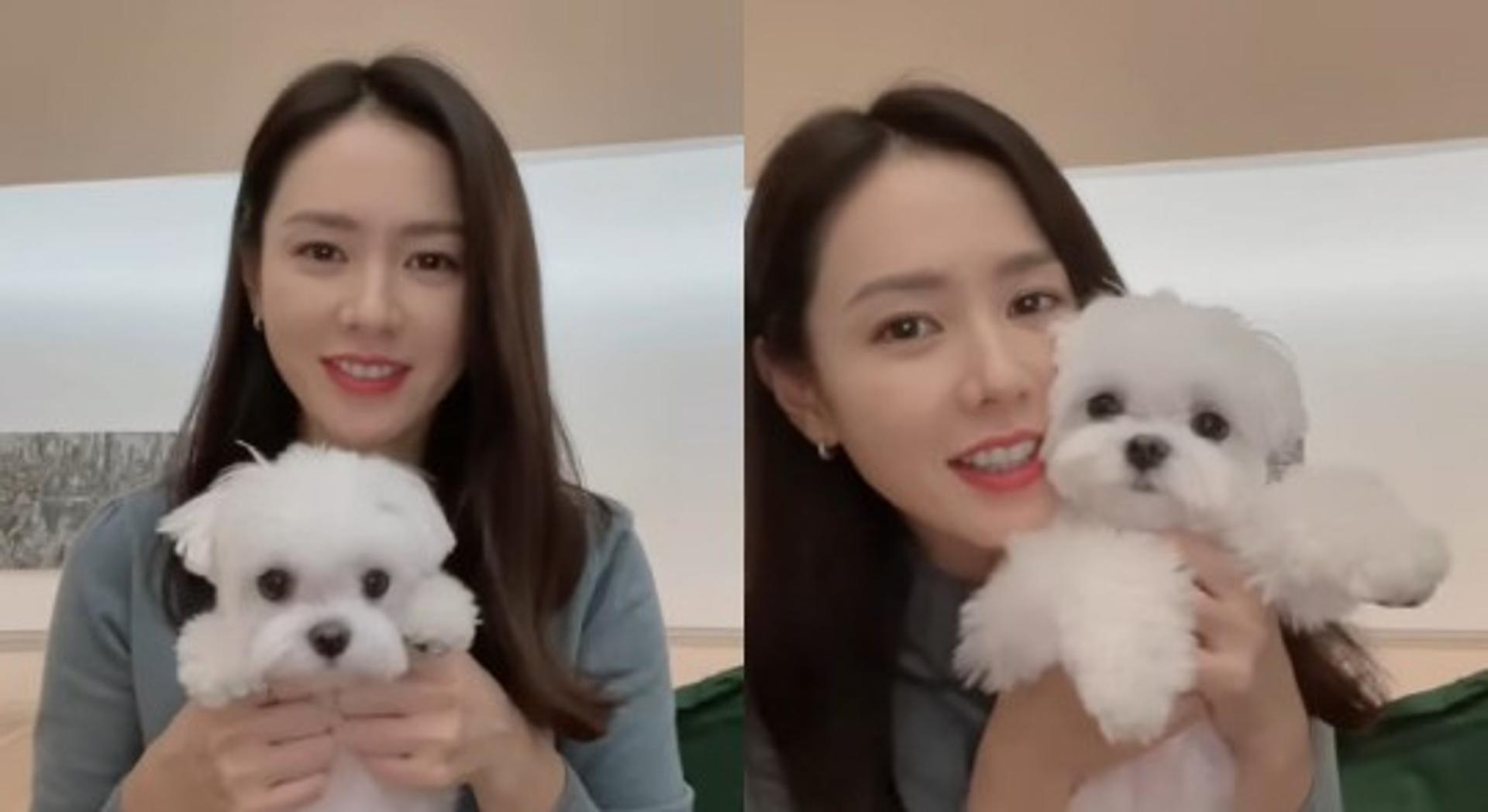 "점점 더 어려지네"… 손예진 근황, ♥현빈 사랑 많이 받나봐?