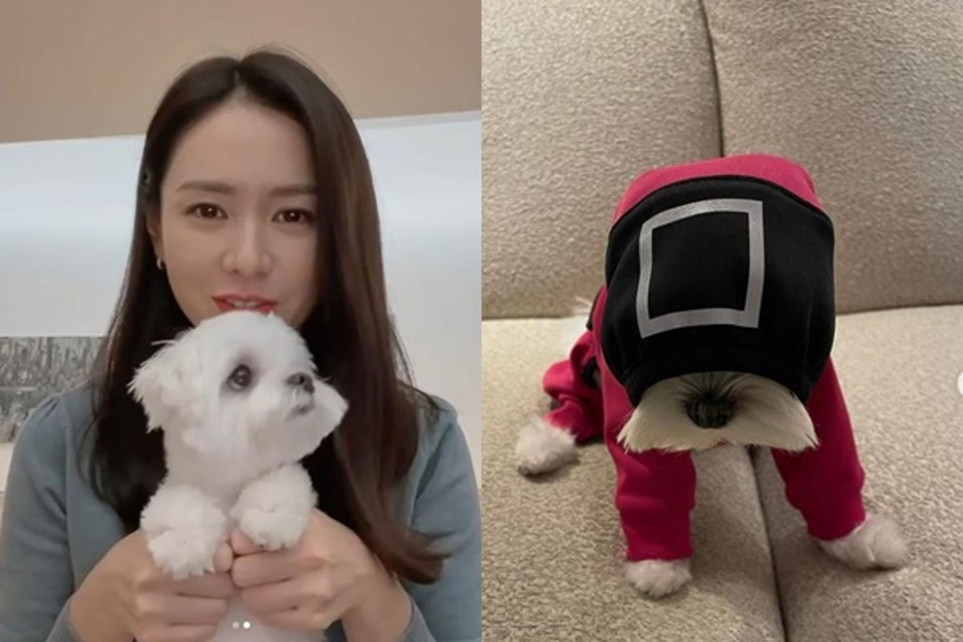 '오징어게임'에 푹 빠진 손예진, 반려견에 코스튬을?