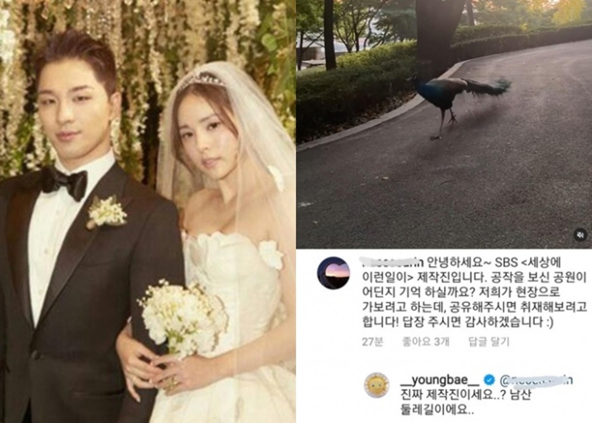'민효린♥' 태양이 올린 SNS, SBS 제작진 소환된 이유