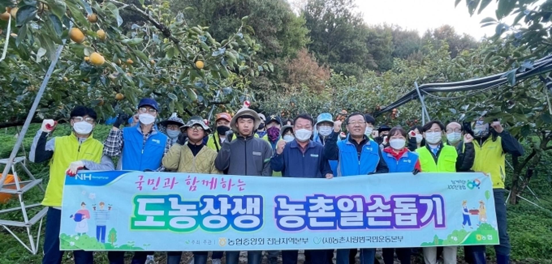 전남농협, 수확철 '농촌일손돕기' 구슬땀