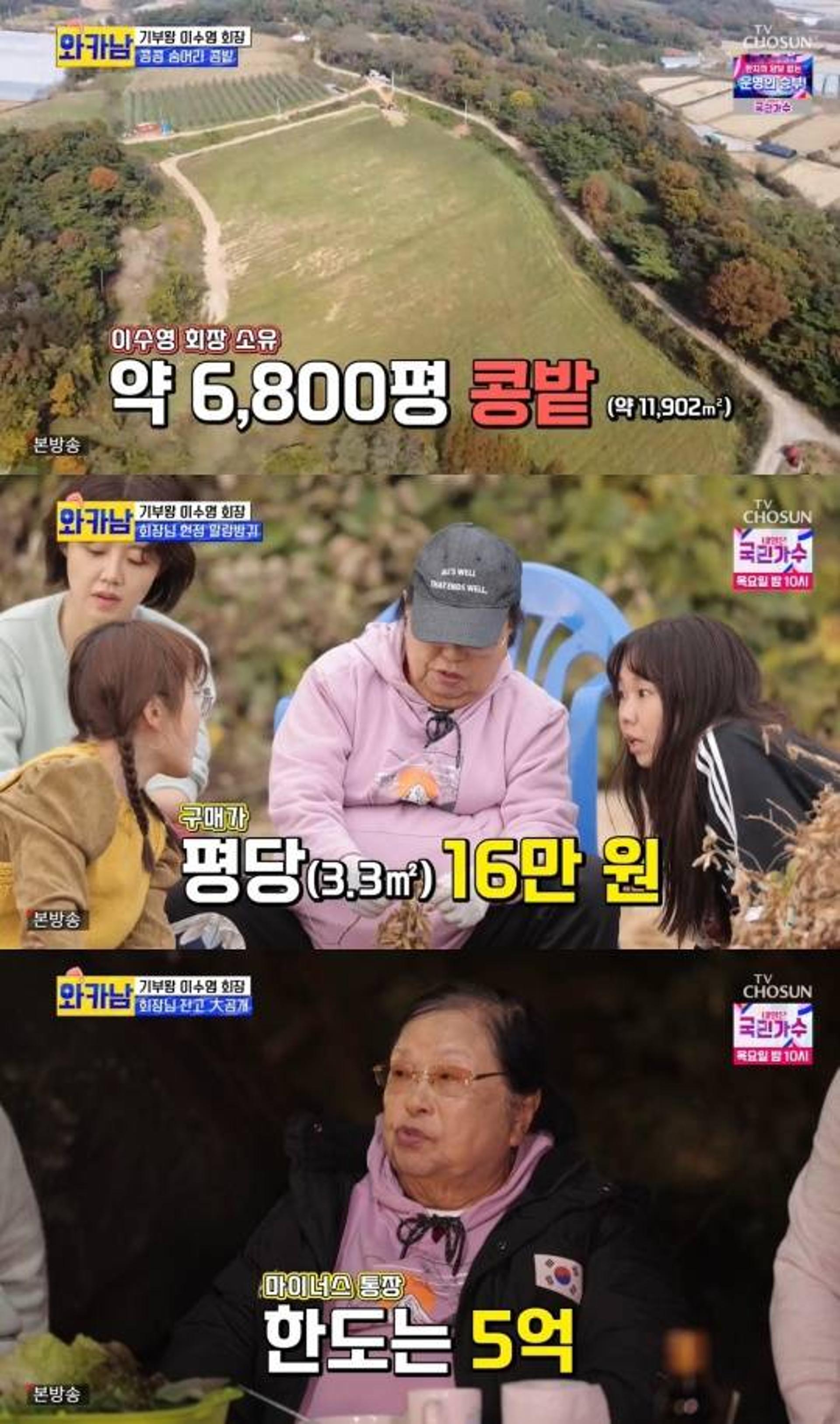'수백억 자산가' 이수영 회장, 통장잔고=마이너스 5억?