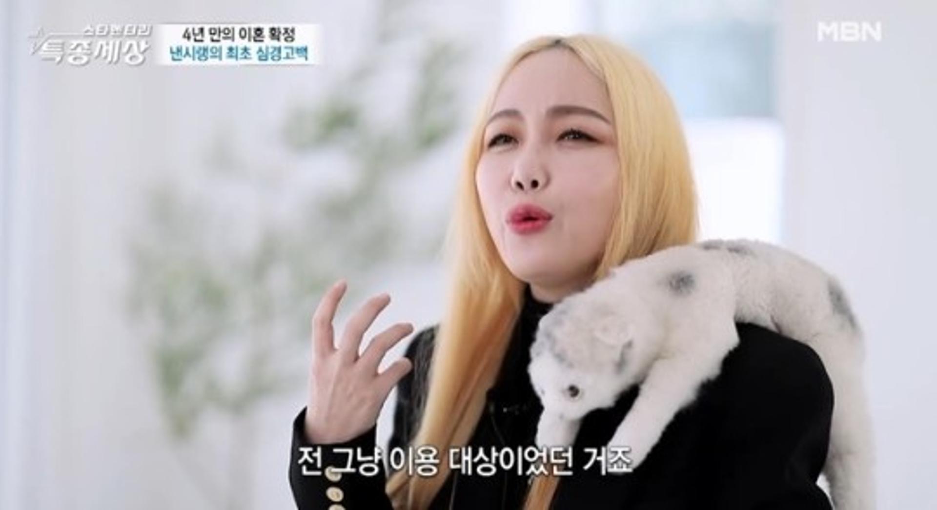 낸시랭, "전남편 왕진진 한남동 집이 목적… 빚만 9억"