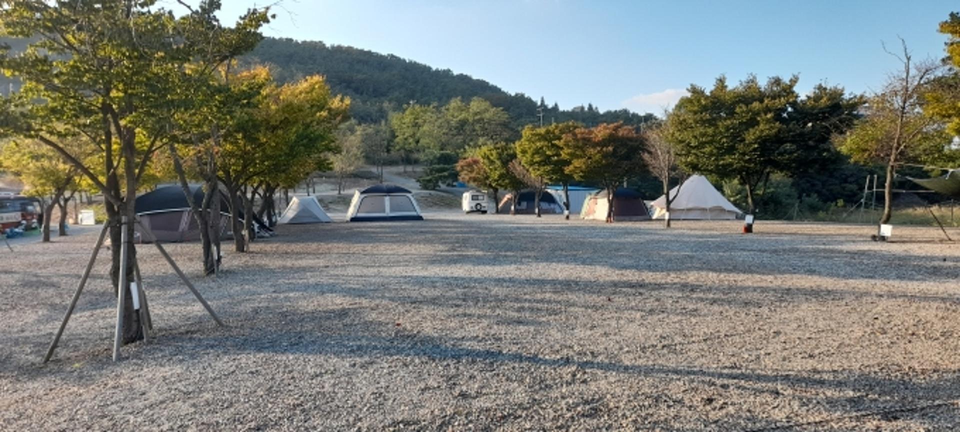 경기도 특사경, 축구장 5배 규모 산지 무단훼손 51건 적발