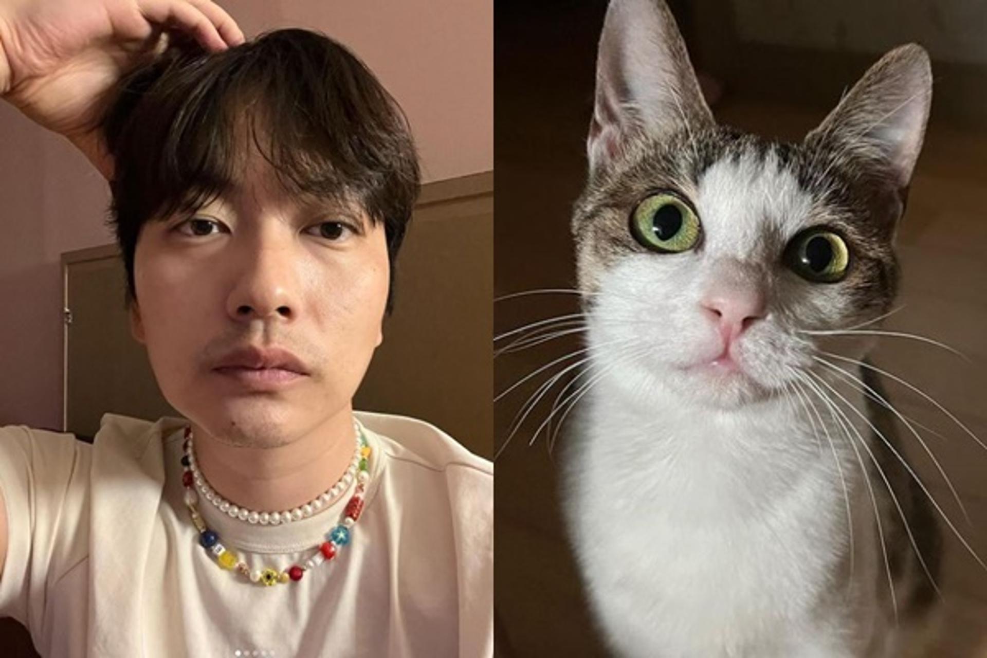 "모라를 소개합니다"… 이동휘 유기묘 입양, 묘하게 닮은 꼴?