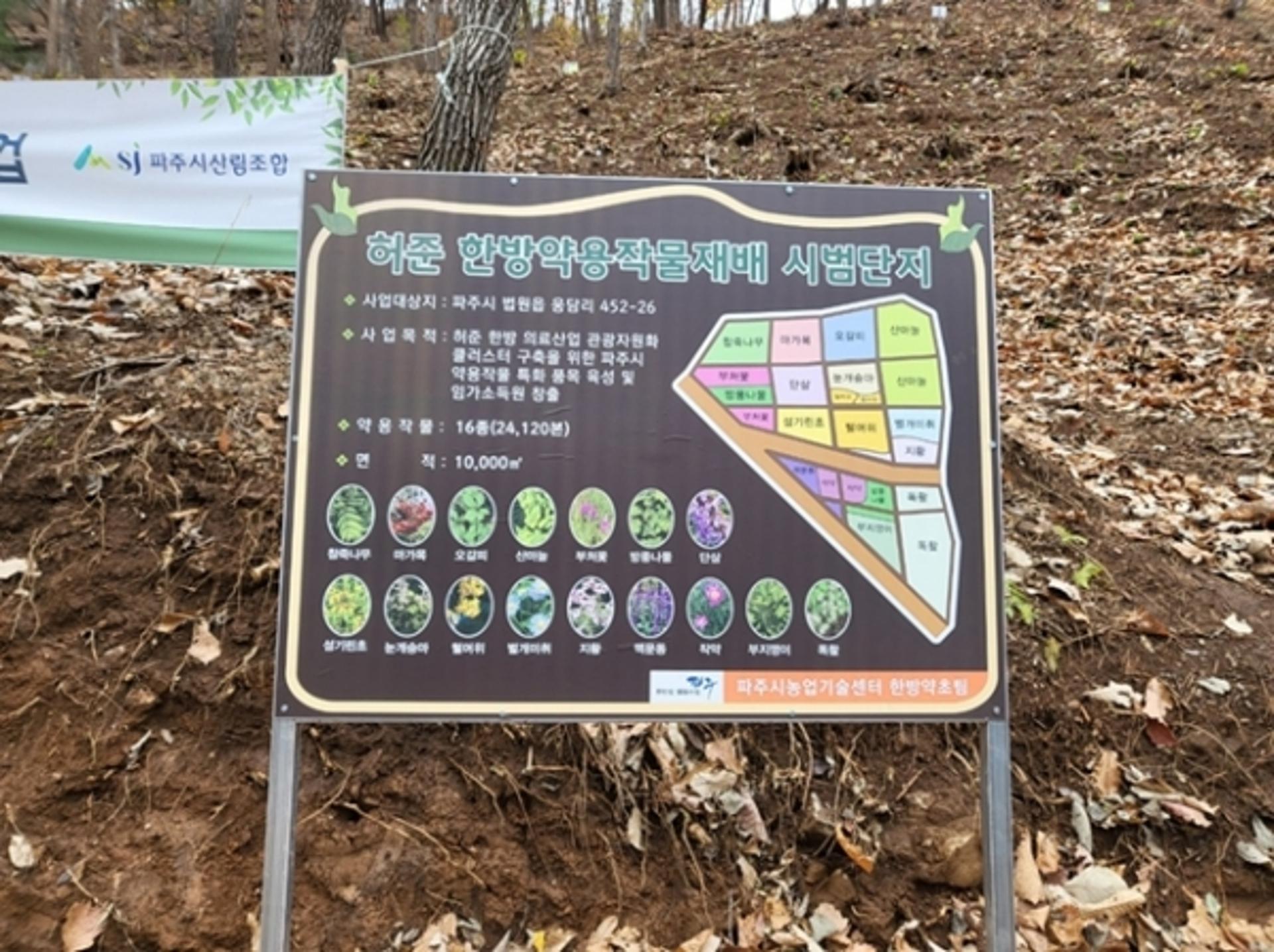 "허준 한방 의료산업 관광자원화"…파주시, 한방 약용작물 재배 시범단지 조성 완료