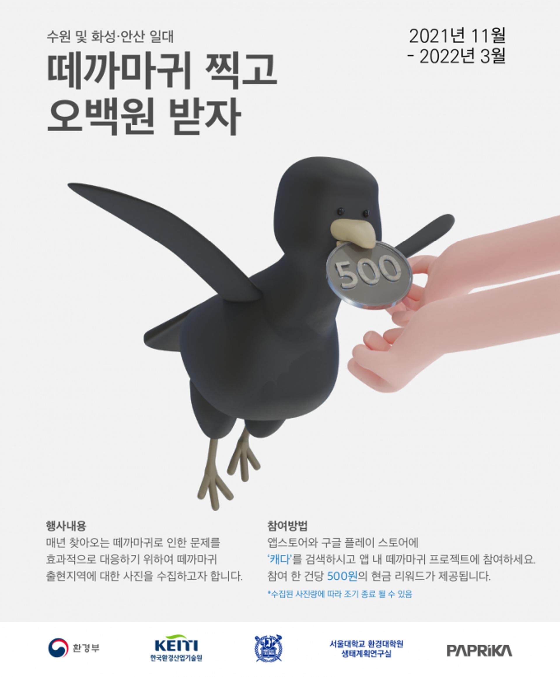 수원시, '떼까마귀 찍고 오백원 받자' 이벤트…화성·안산시와 함께 내년 3월1일까지