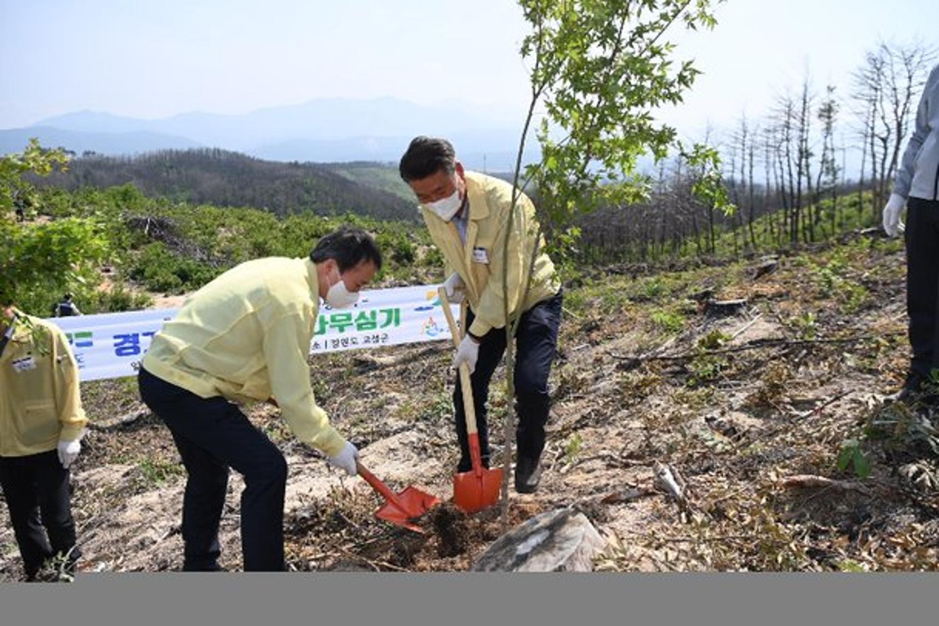 고성군 삼림, 화마에 사라졌다 '경기의 숲'으로 재탄생… 경기-강원 상생협력 상징