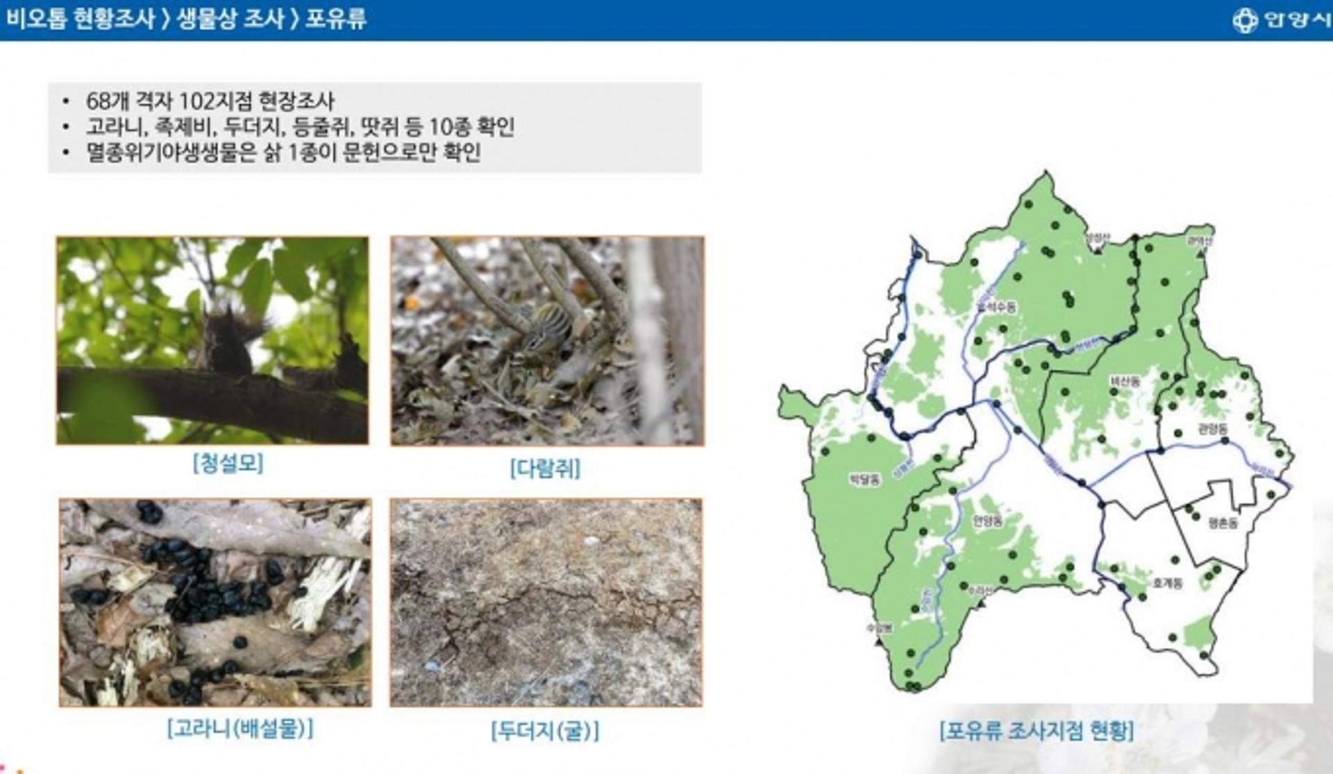 안양시, 도시생태현황지도 제작…서식 동식물 2229종 확인