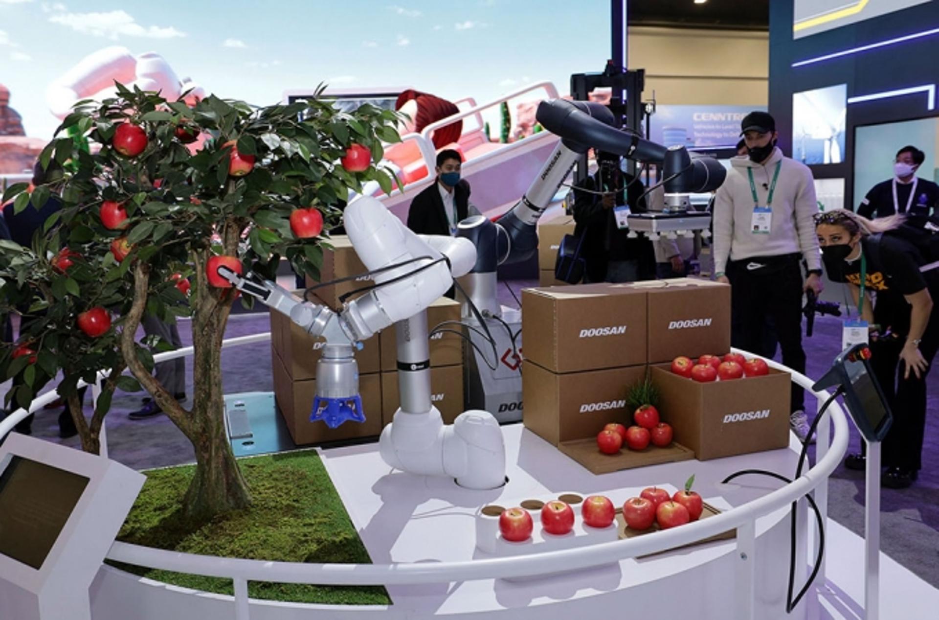 [CES 2022] 로봇이 사과 따고 사진도 찍고… 관람객 홀린 두산 미래기술