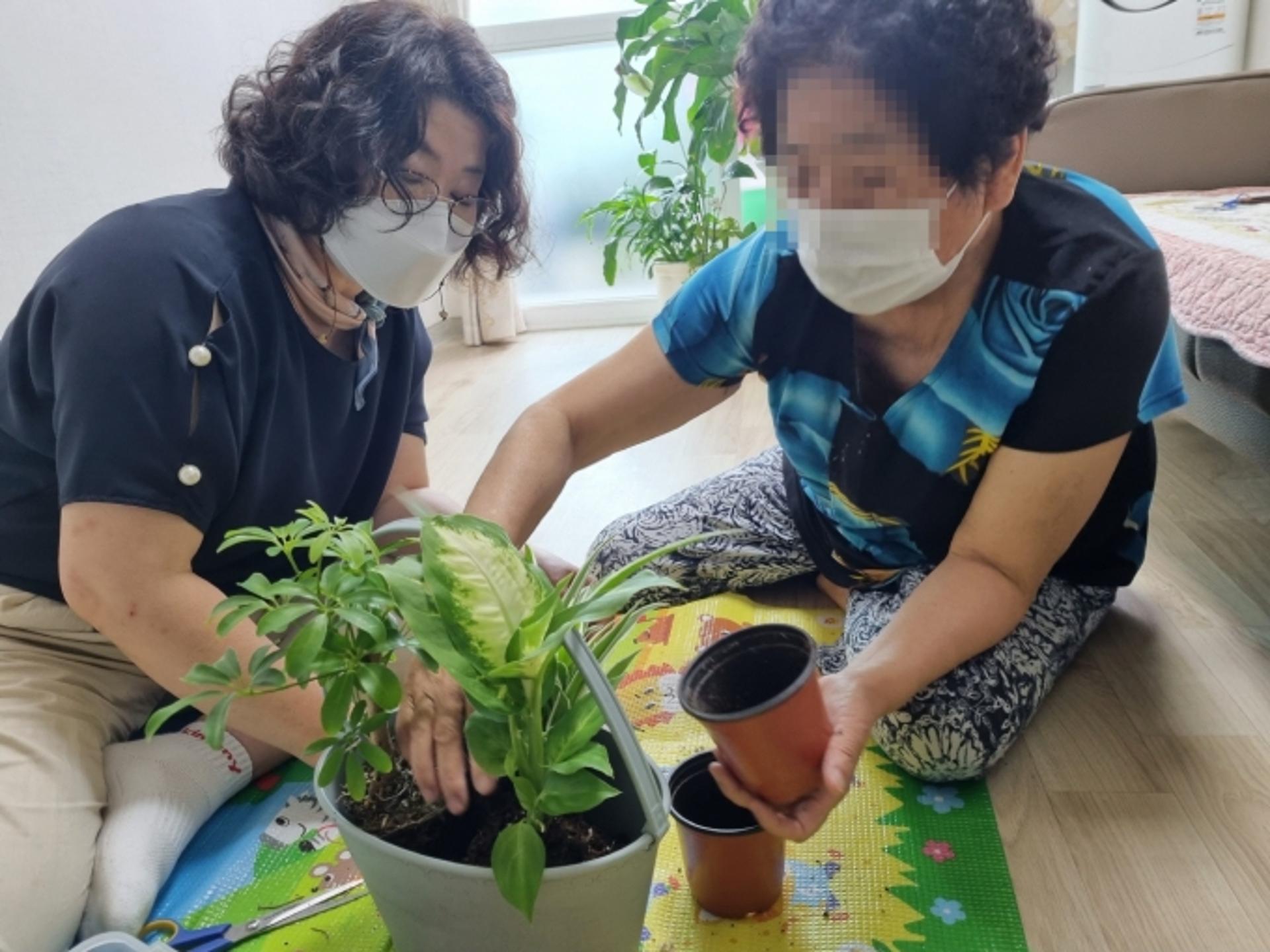 고양시, 독거노인 원예치유 사업…"스트레스 20% 감소 효과"