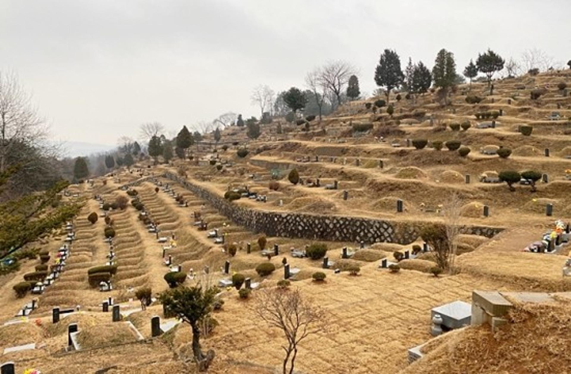 구리시재난안전대책본부, 설연휴 기간 '구리공설묘지 전면폐쇄'