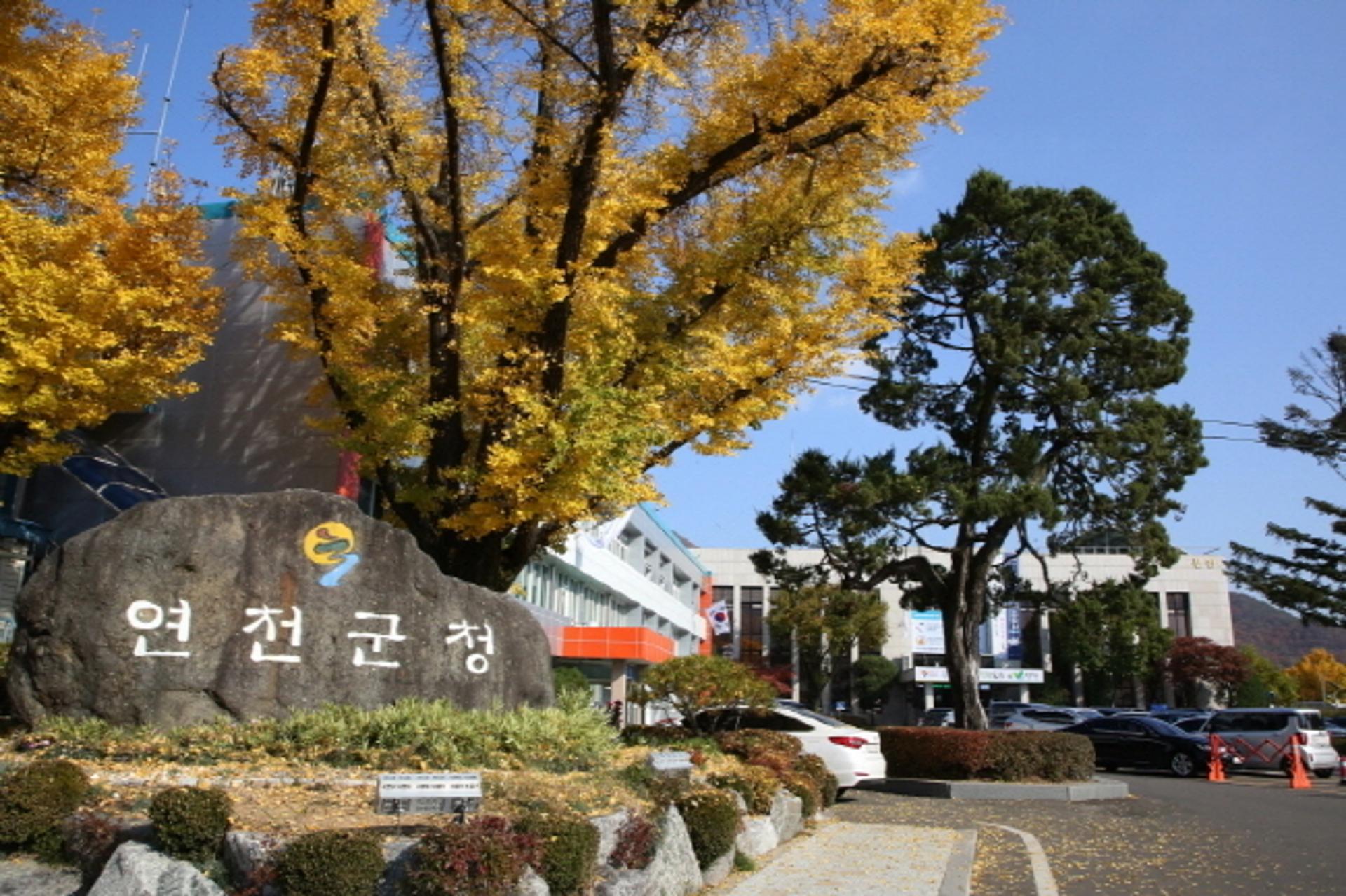 연천군, 설연휴 '비상진료 대책상황실' 운영
