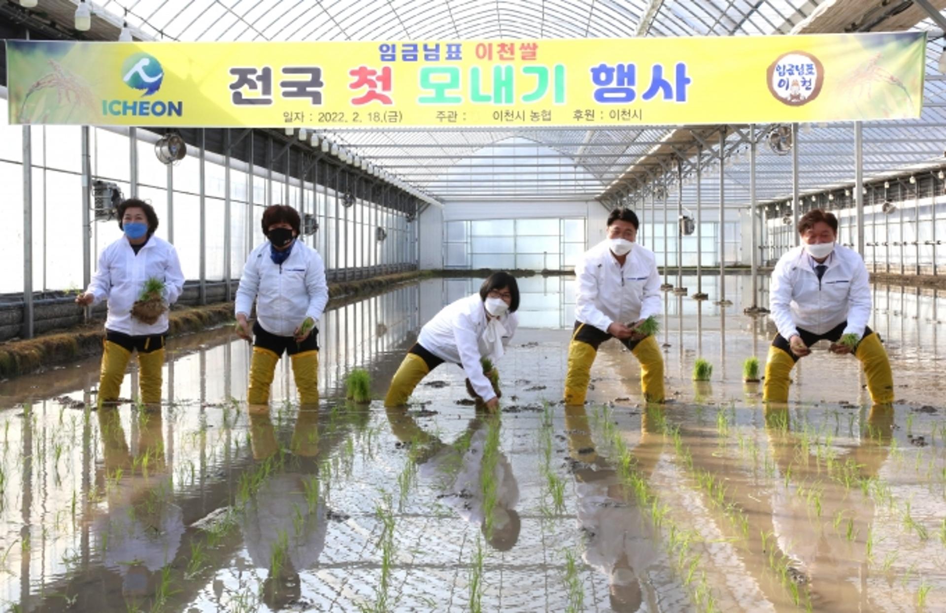 경기 이천시, 전국 첫 모내기 실시
