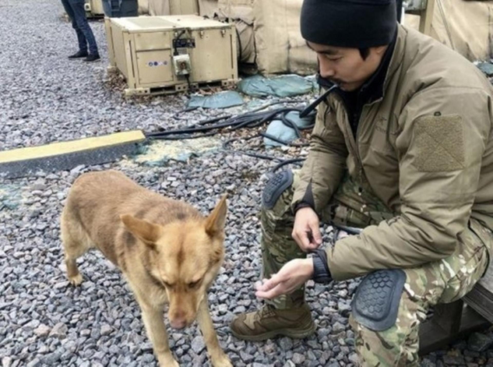 이근 사망설은 '가짜'?… "주기적 연락, 작전수행 중"