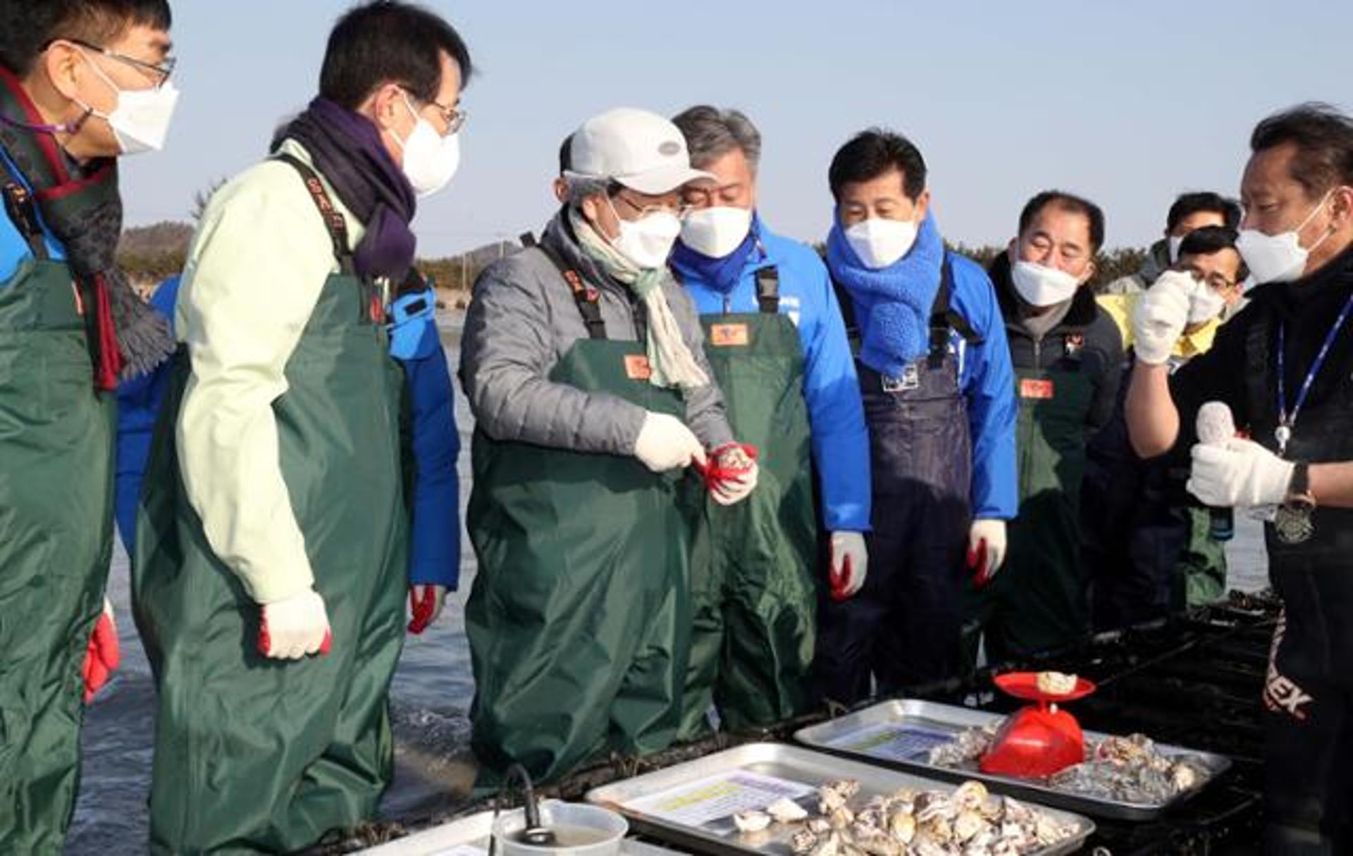 신안군, 해수부 '친환경 개체굴 사업지'에 선정