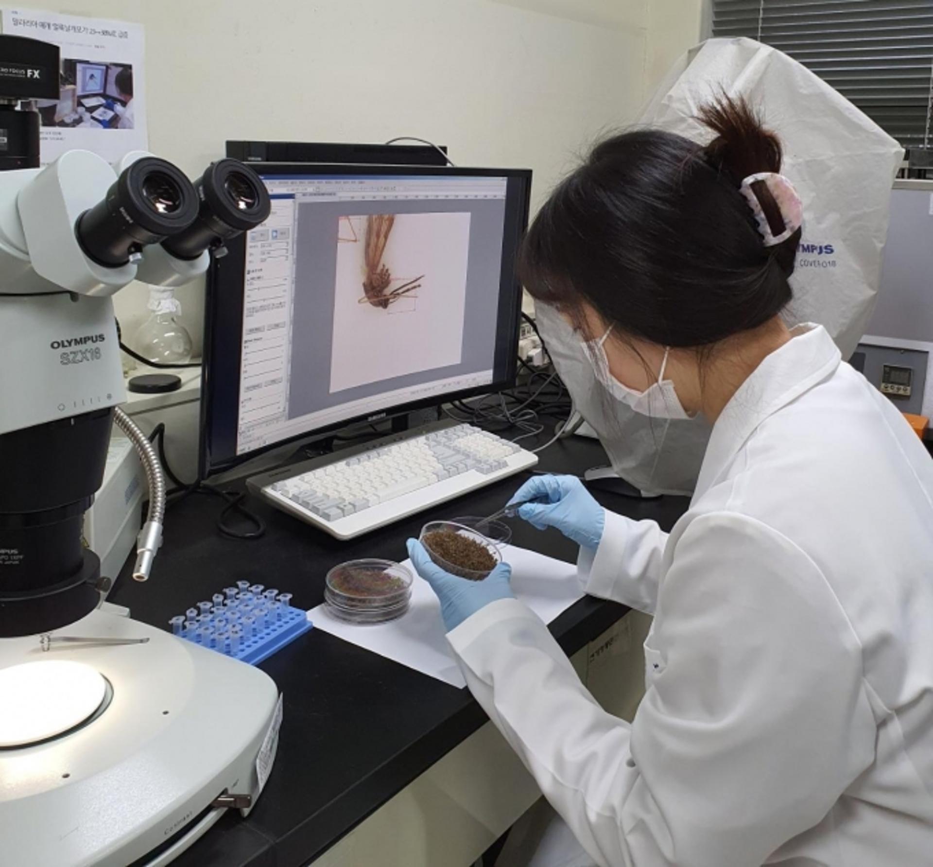 경기도 말라리아 환자 최근 3년간 4~7월에 60% 집중