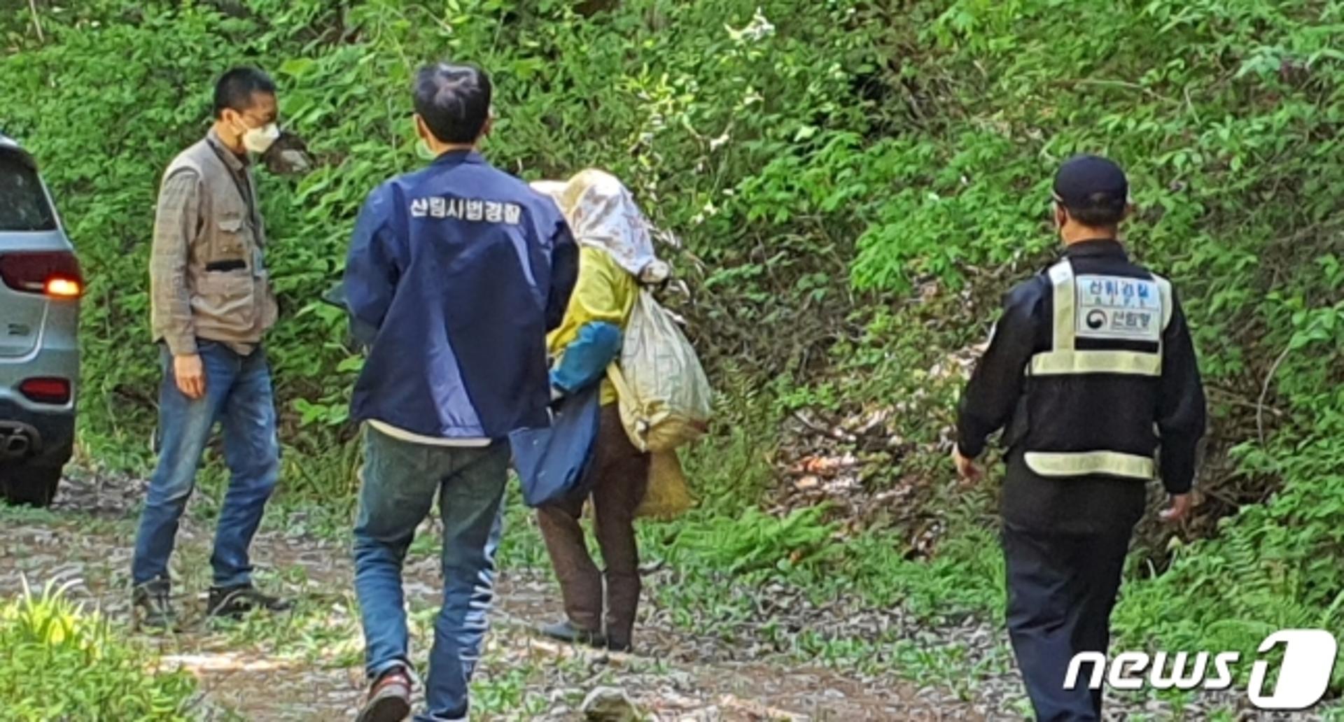 경기도, 봄철 산림내 불법행위 특별단속