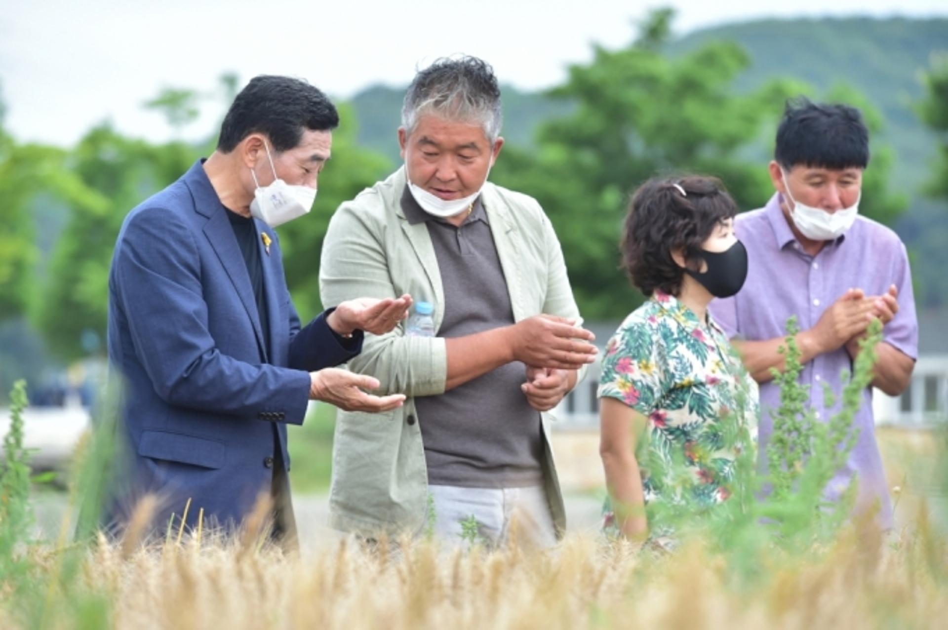 안산시, 지역특산물을 활용 '안산 브랜드빵' 개발 업무협약