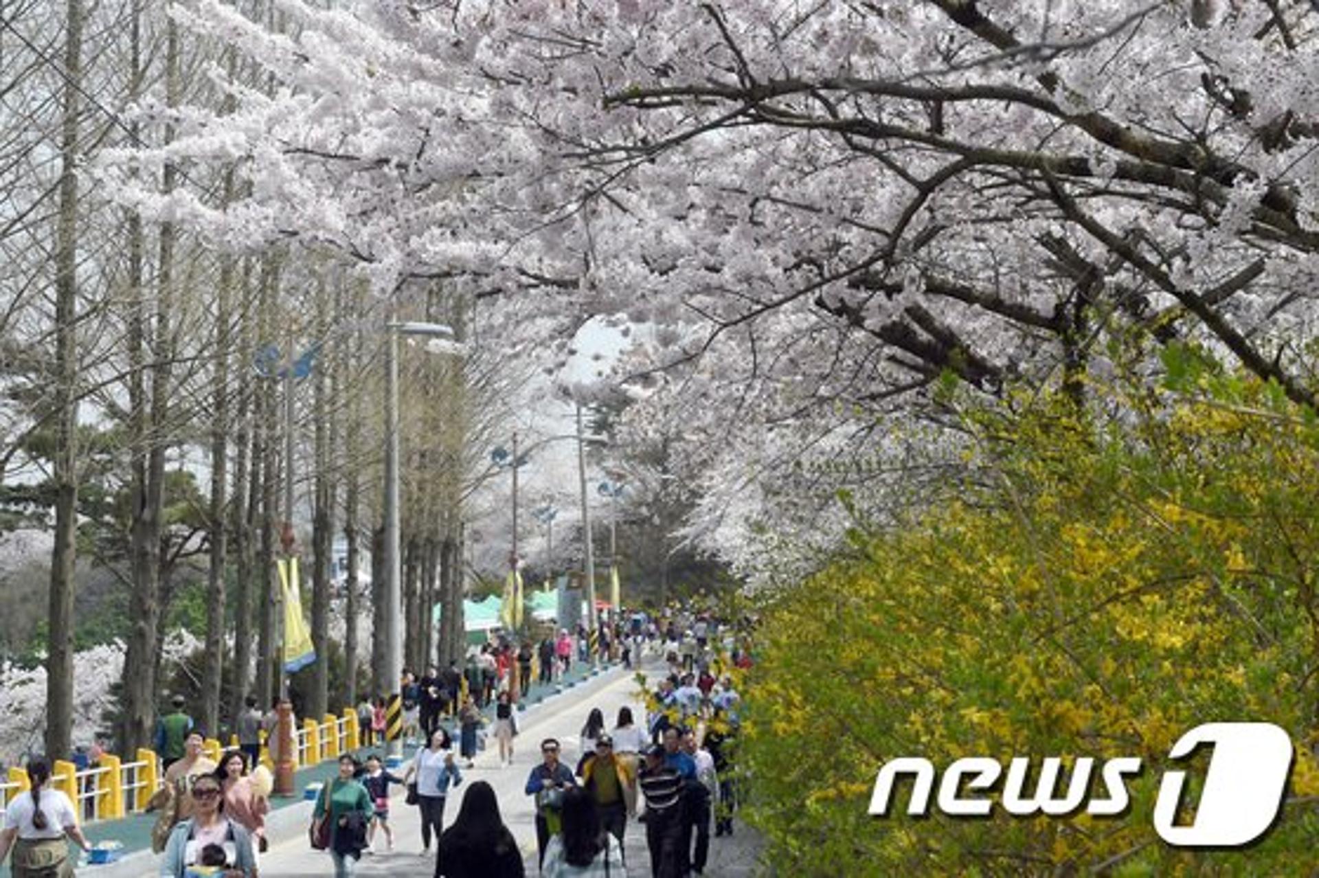 목포시, 내달 9일 유달산 봄축제 개최