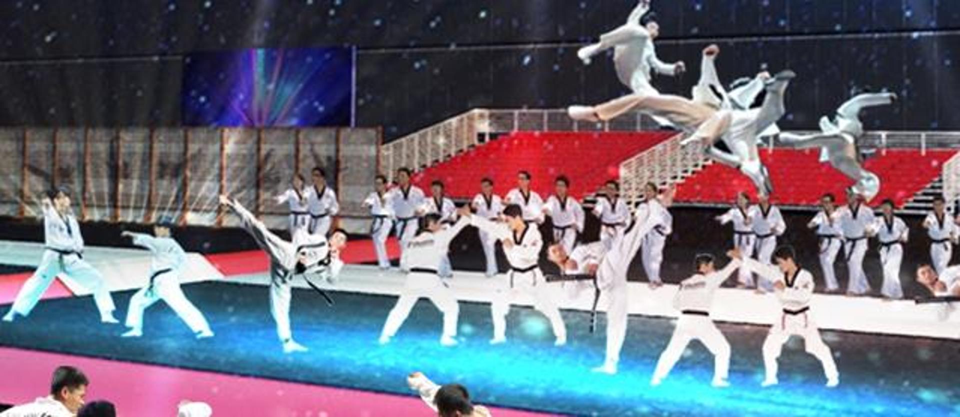 고양시, '세계태권도품새선수권대회 개회식' 일반 관람객 모집