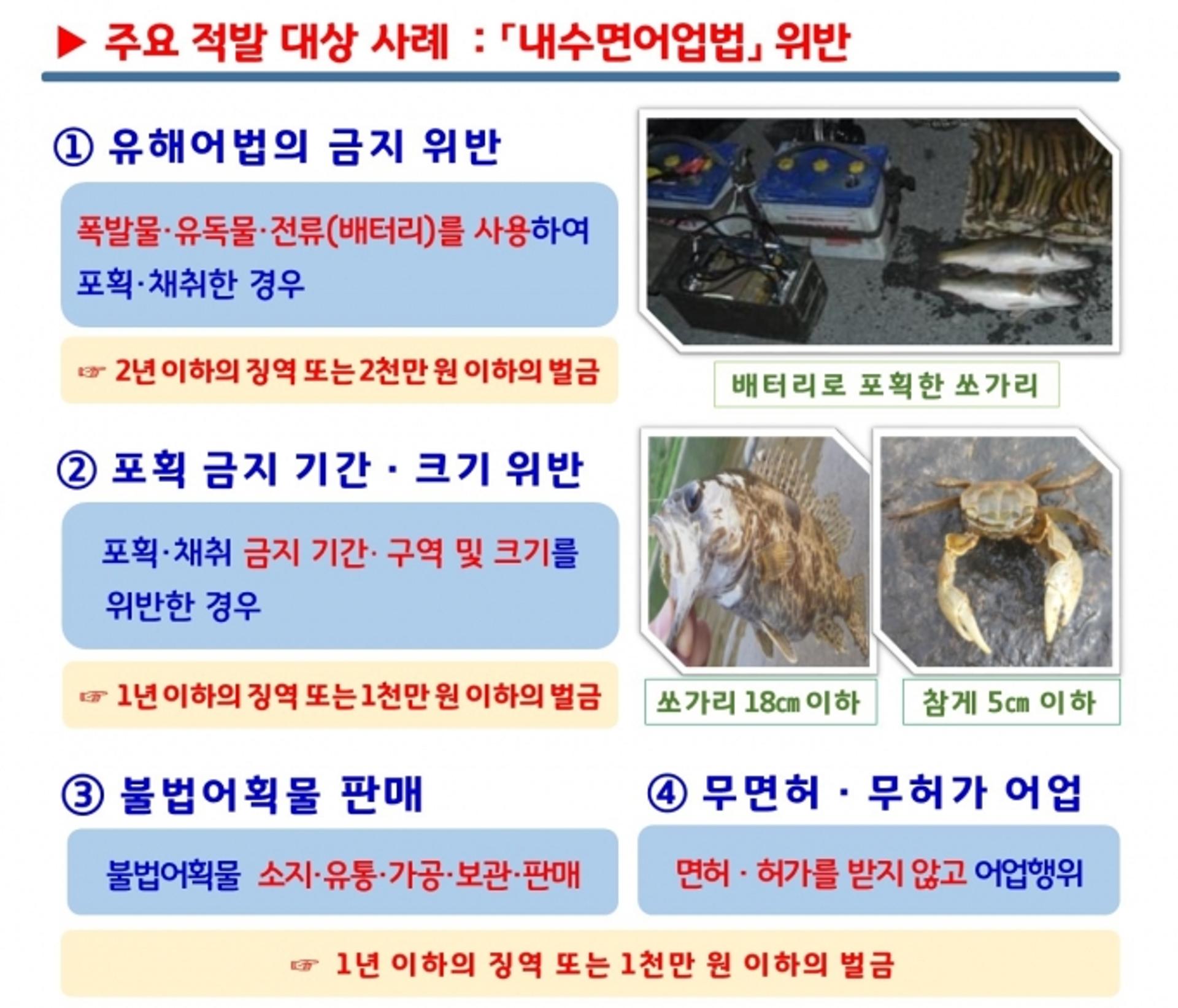경기도 특사경, 어·패류 산란기 내수면 불법 어업행위 집중수사