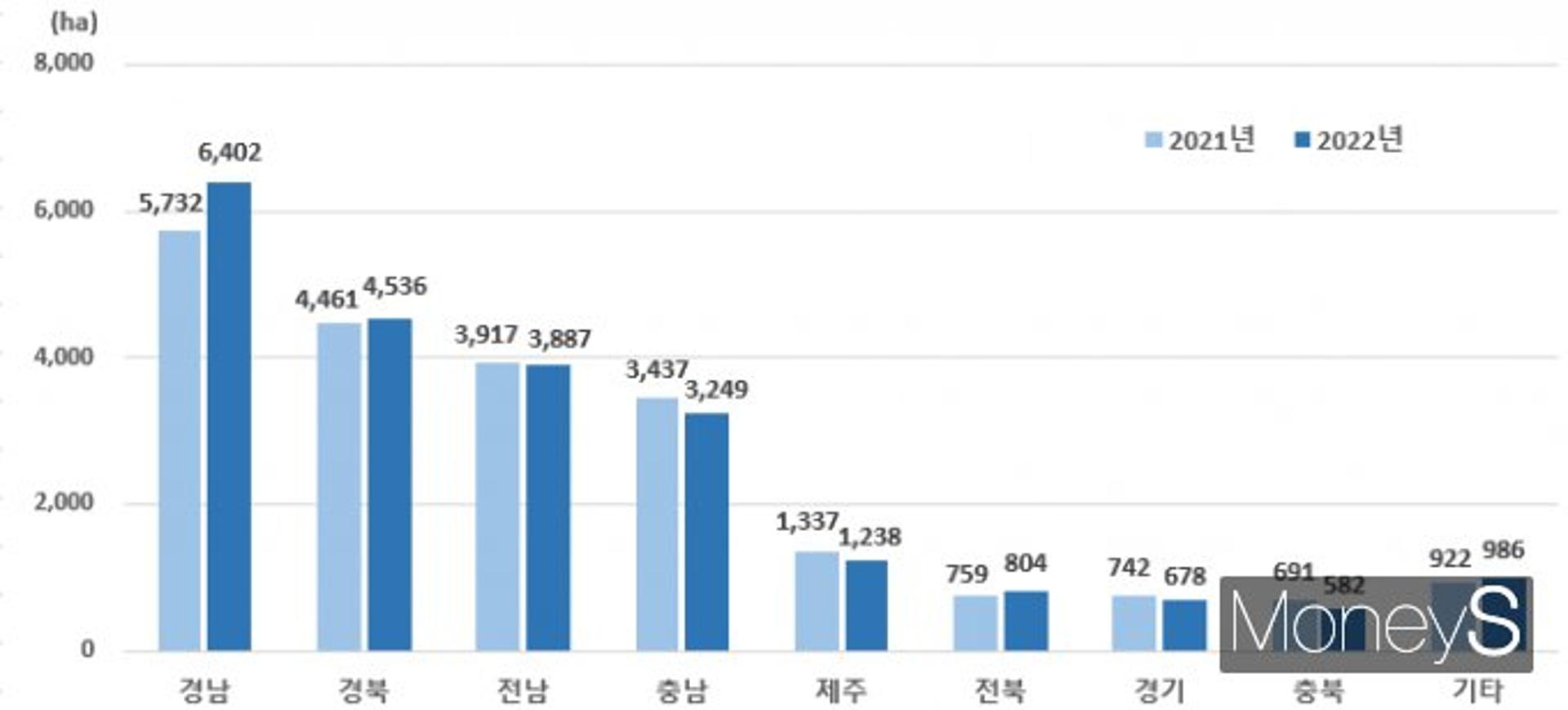 전남, '가격 하락'에 마늘·양파 재배면적 감소