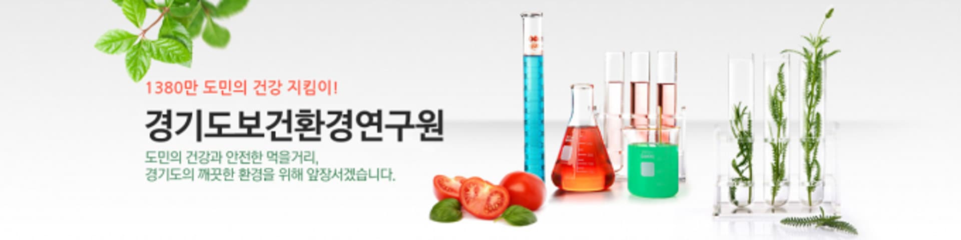 "과일껍질 세척후 드세요"…경기 보환연, 잔류농약  과육의 10배