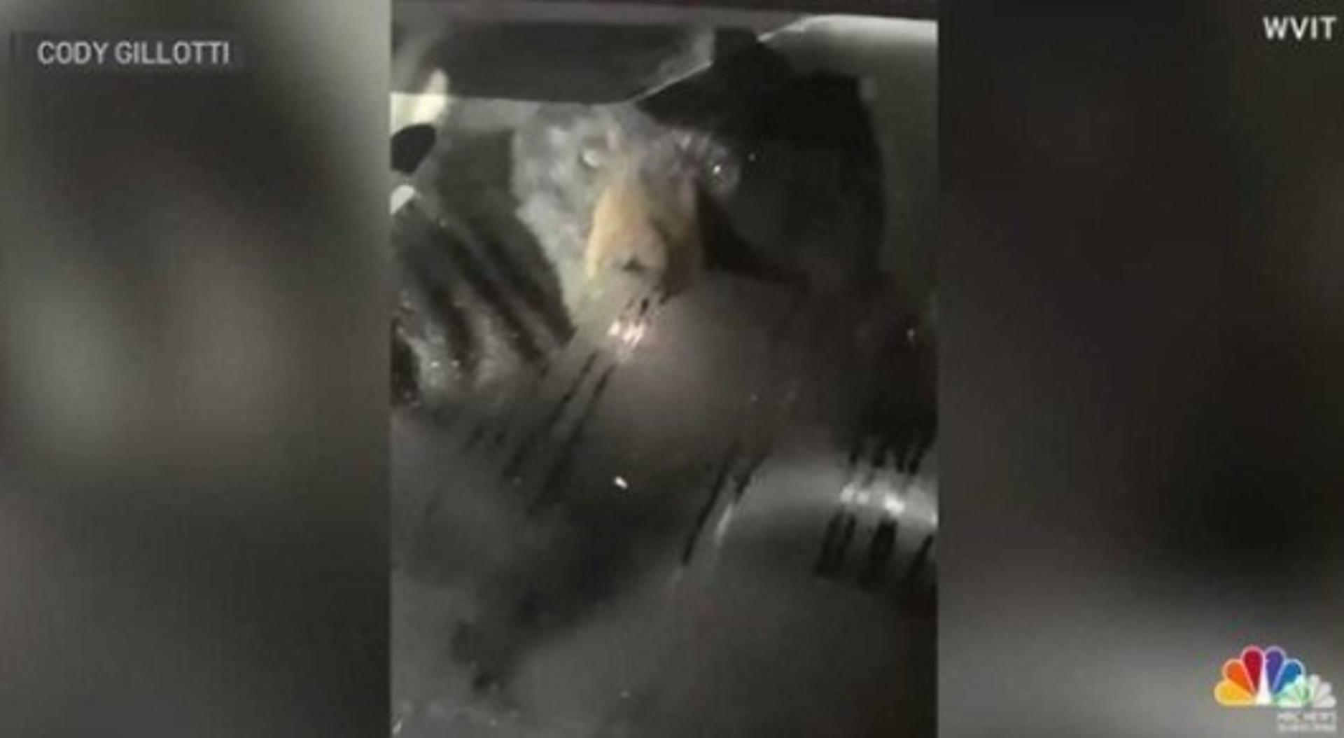 "실내등이 왜 켜져 있지?" 장모車 조수석에 앉은 '그놈' 정체