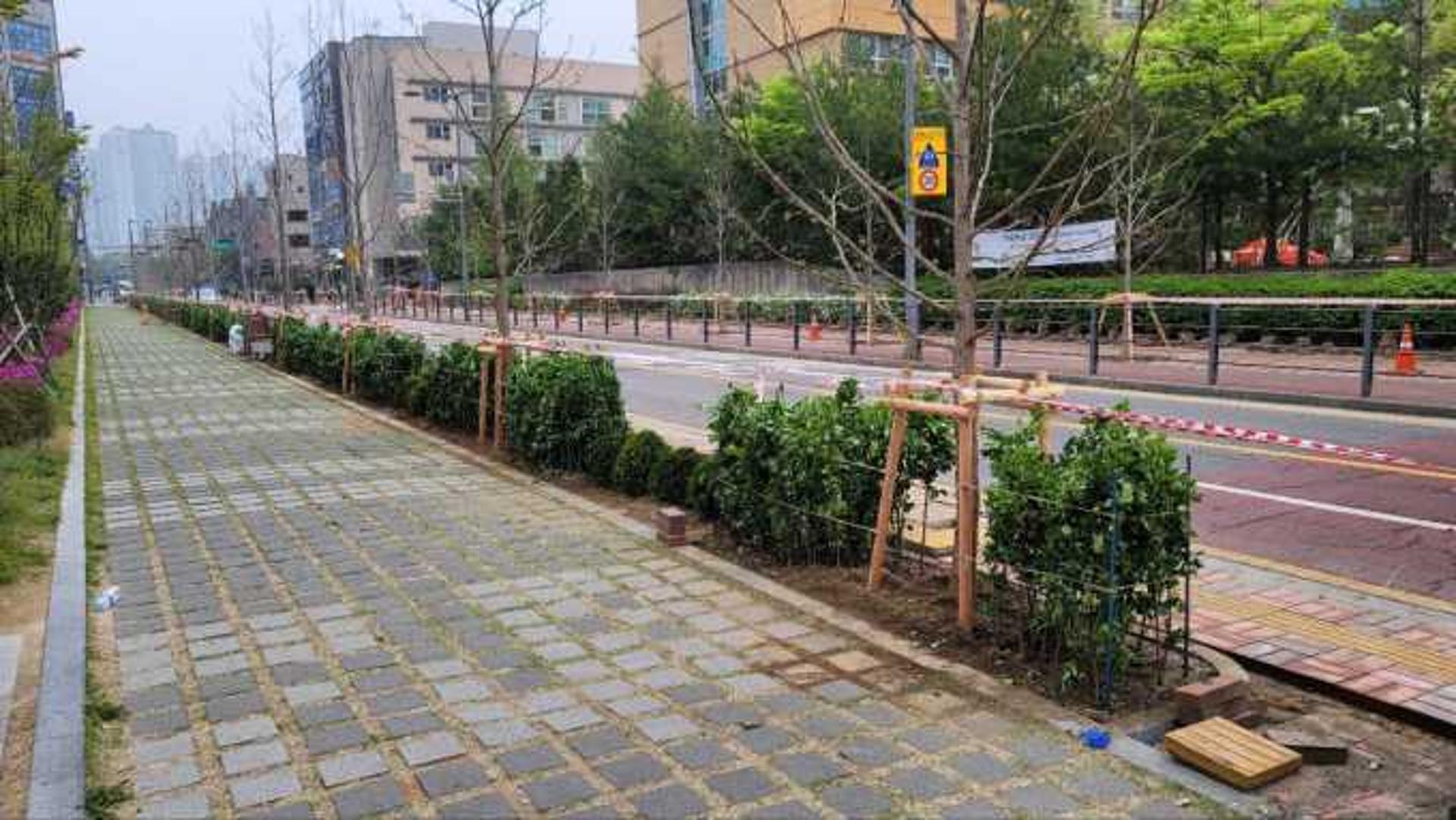 수원시, 금곡로 등 14개 가로에 '명품 가로숲길' 조성
