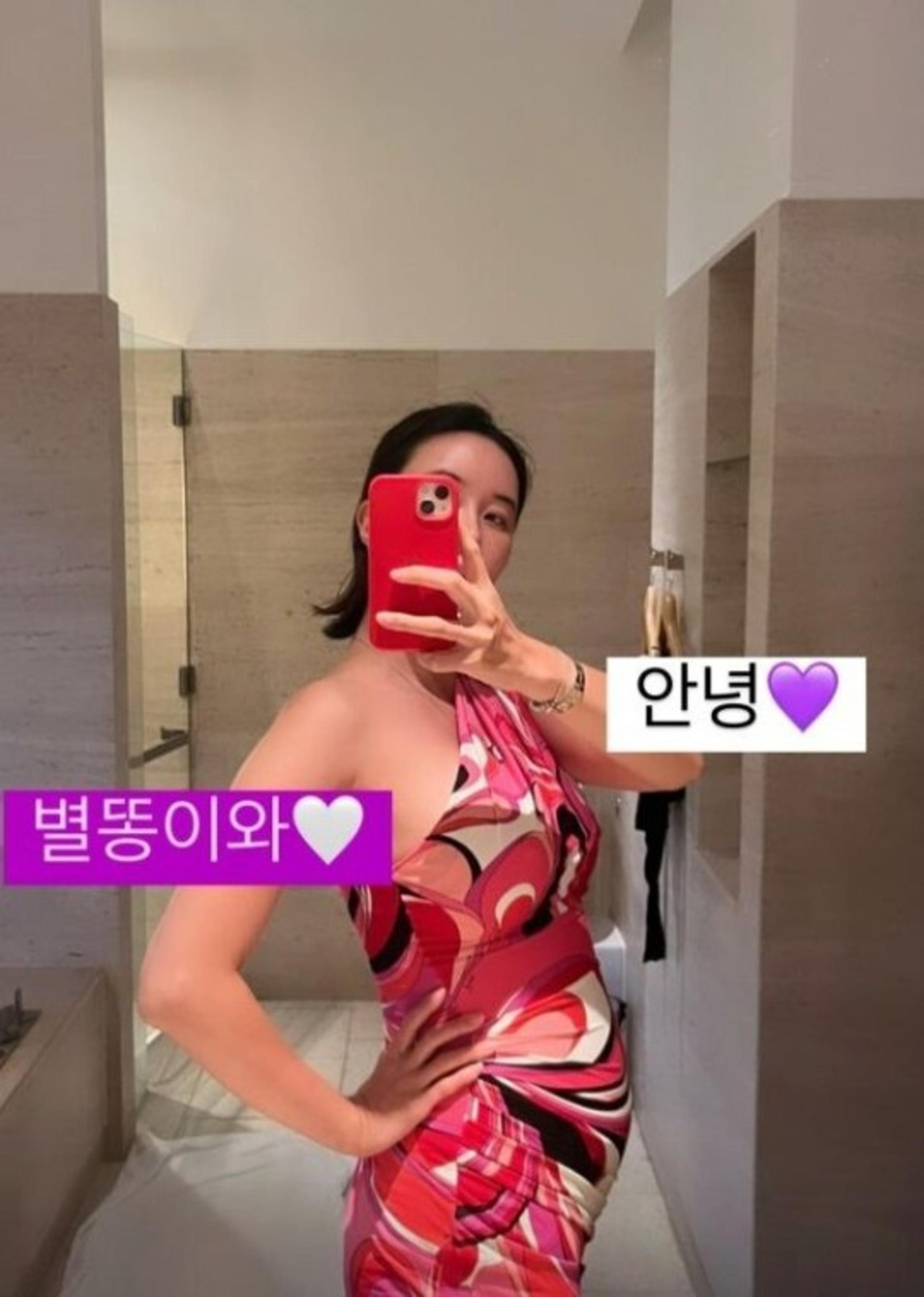 "별똥이와"… 장미인애 '임신설' 왜 불거졌나보니?