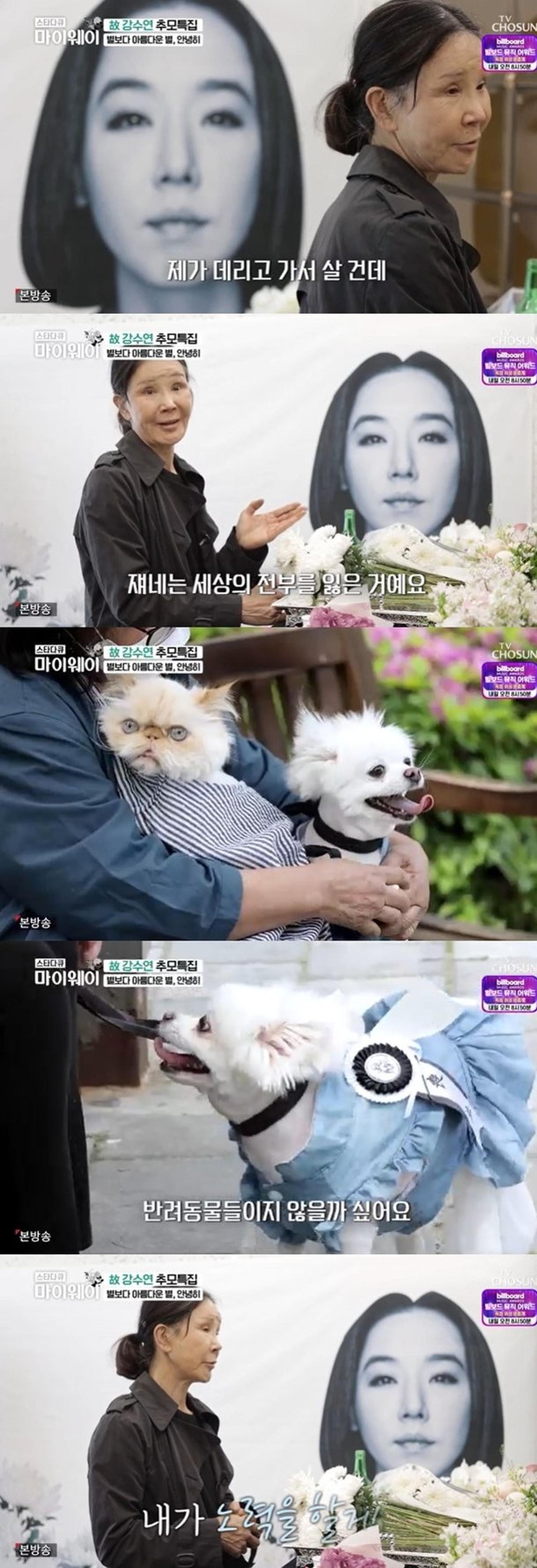 "제가 키울게요"… 이용녀, 강수연이 남긴 반려동물 입양