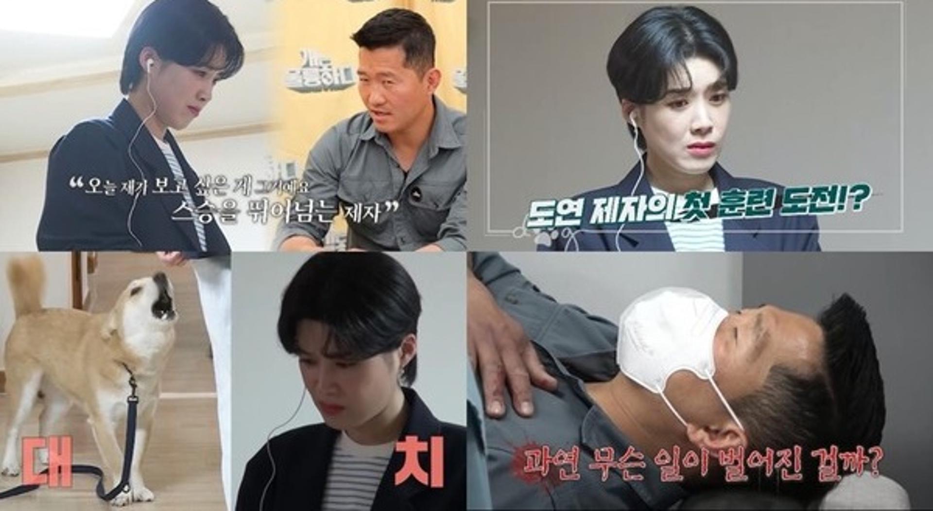 "피 많이 나"… 강형욱 역대급 입질견 훈련 중 병원行?