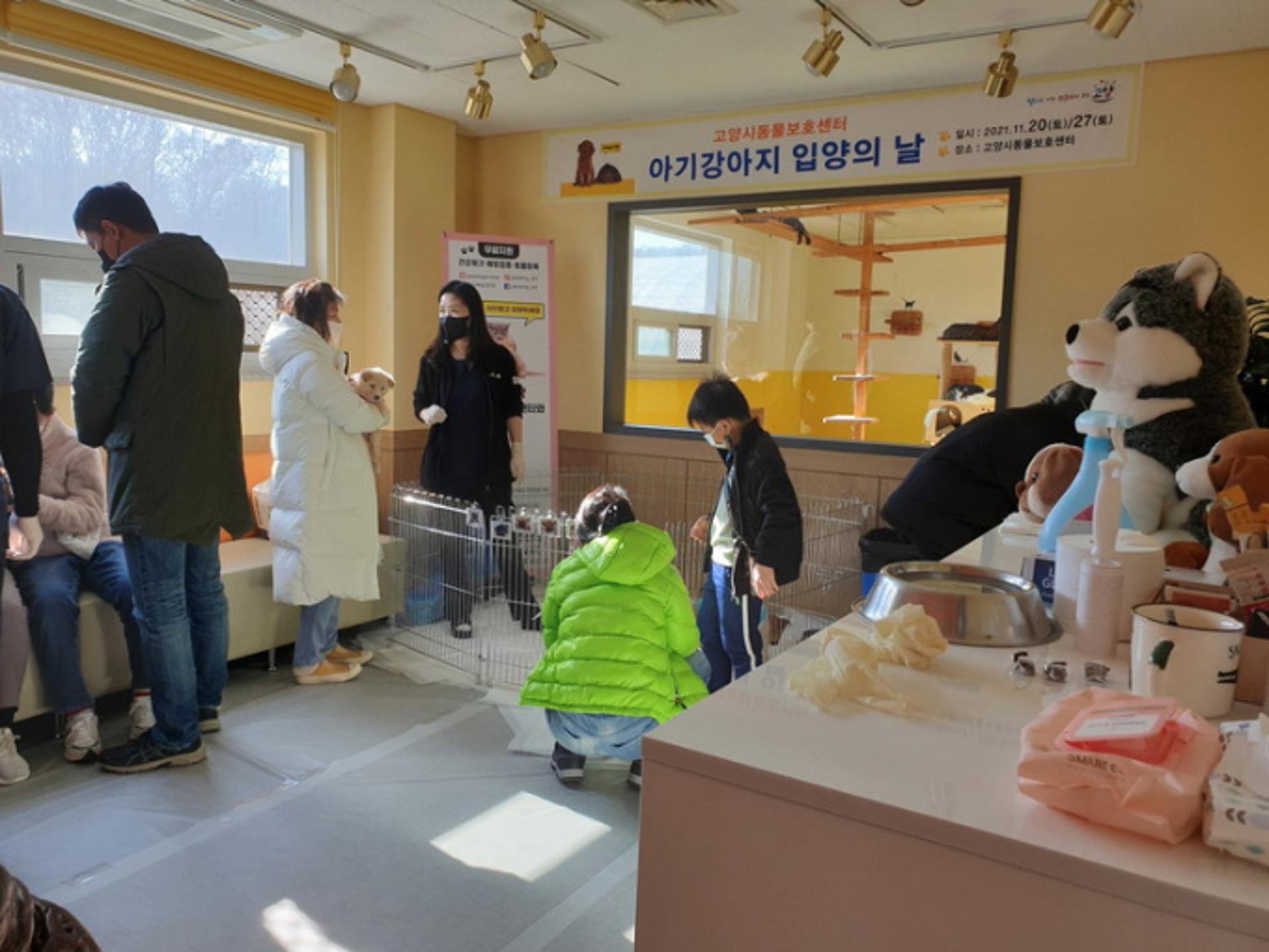 "반려동물, 사지말고 입양하세요"…고양시, 성숙한 반려문화 지원