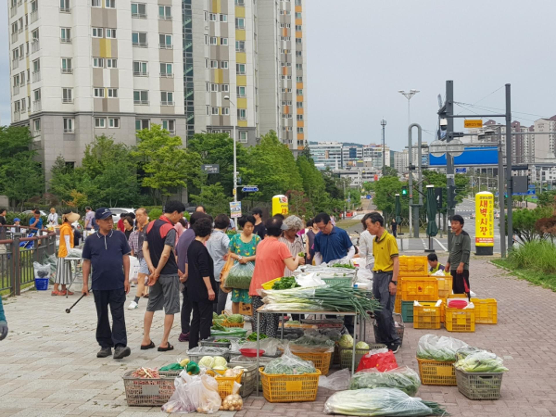 김포농업인 새벽시장 재개장…금쌀 사은품 증정